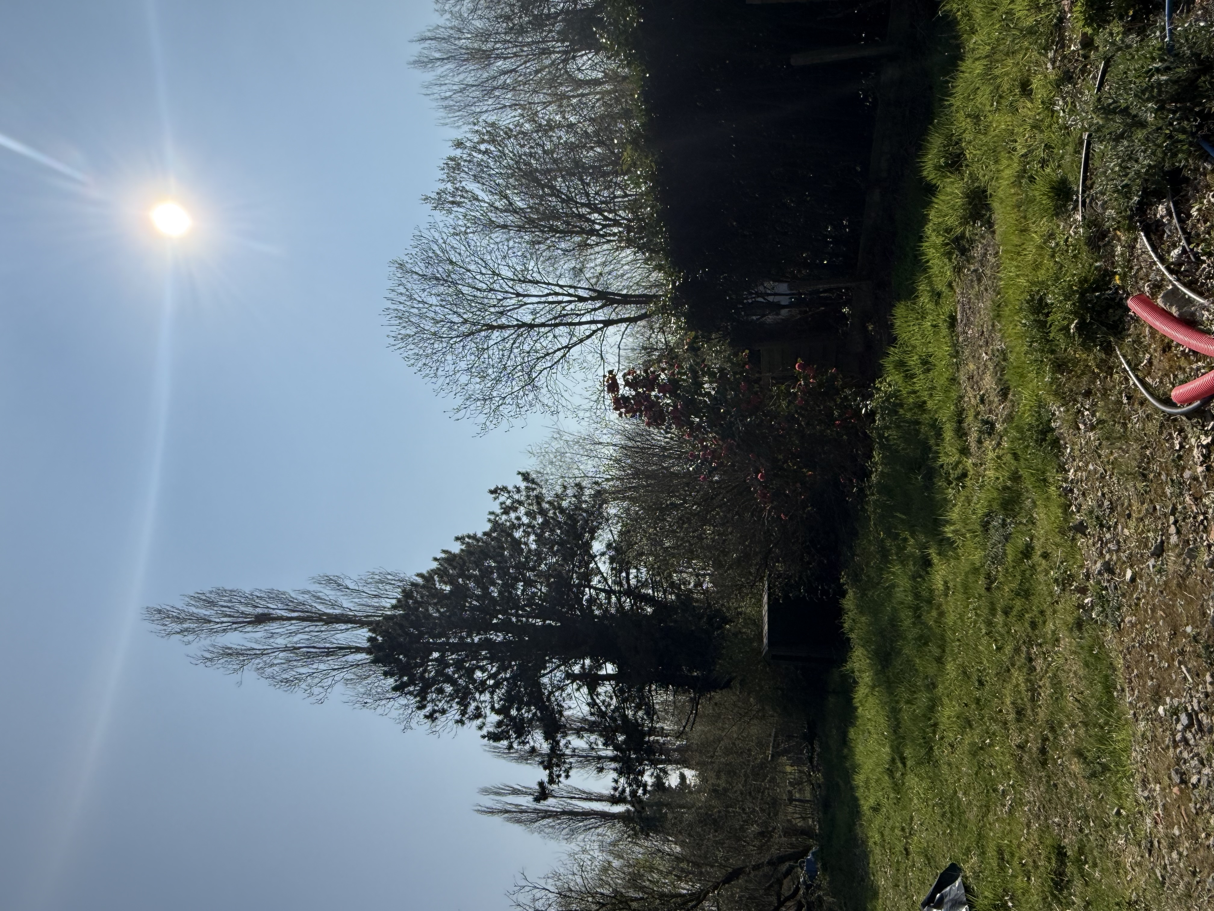 image-14