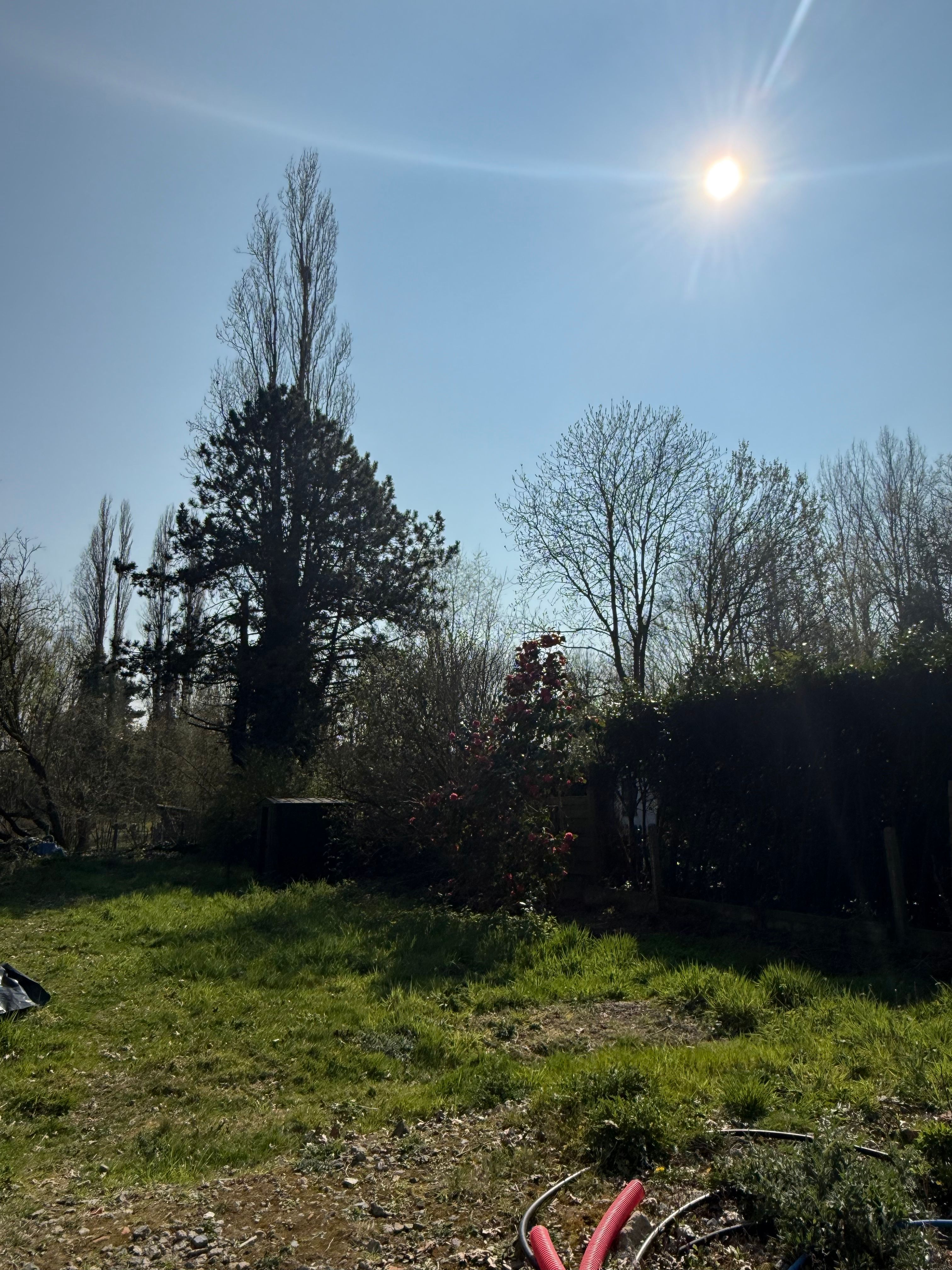 image-14