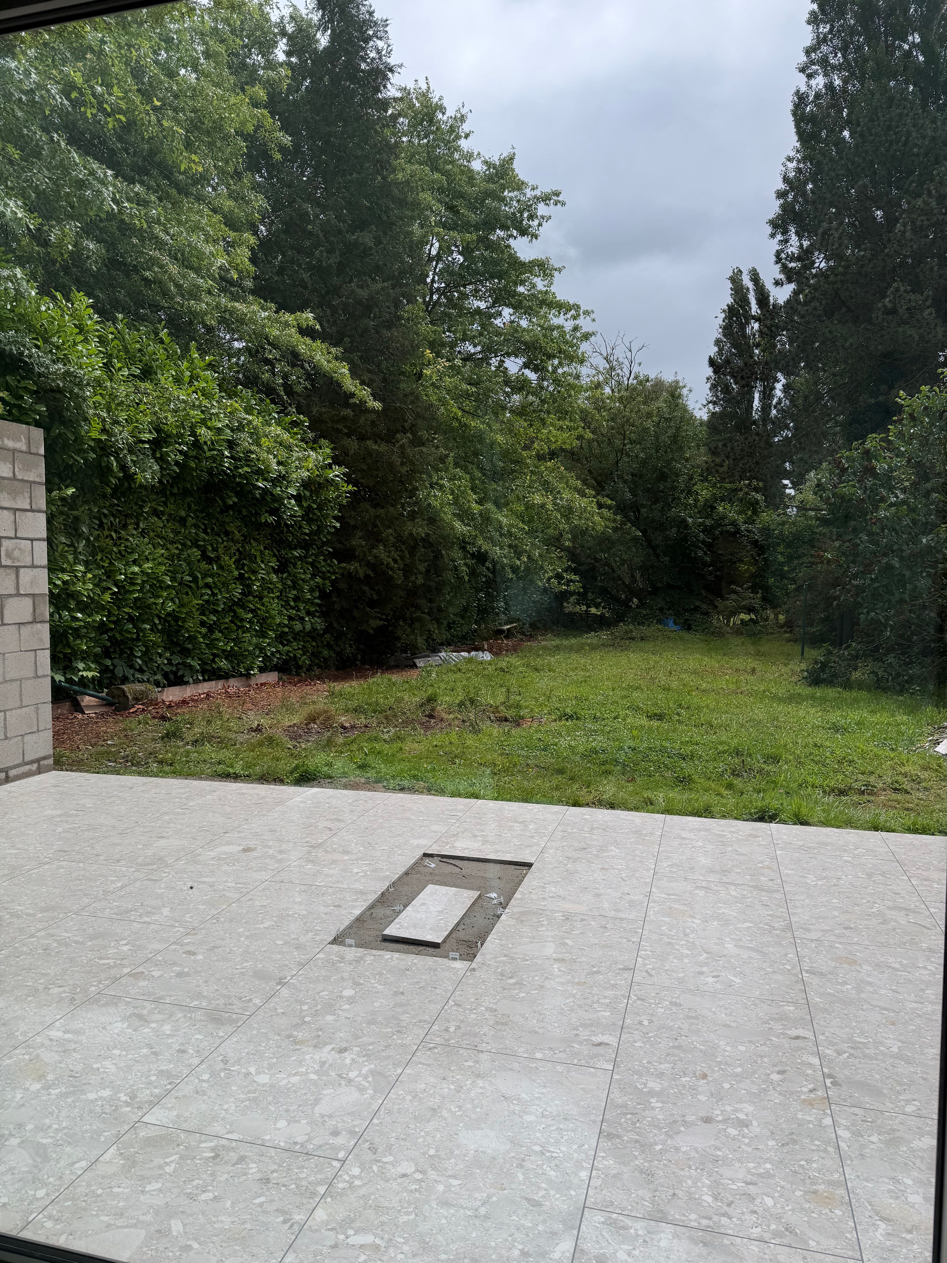image-17