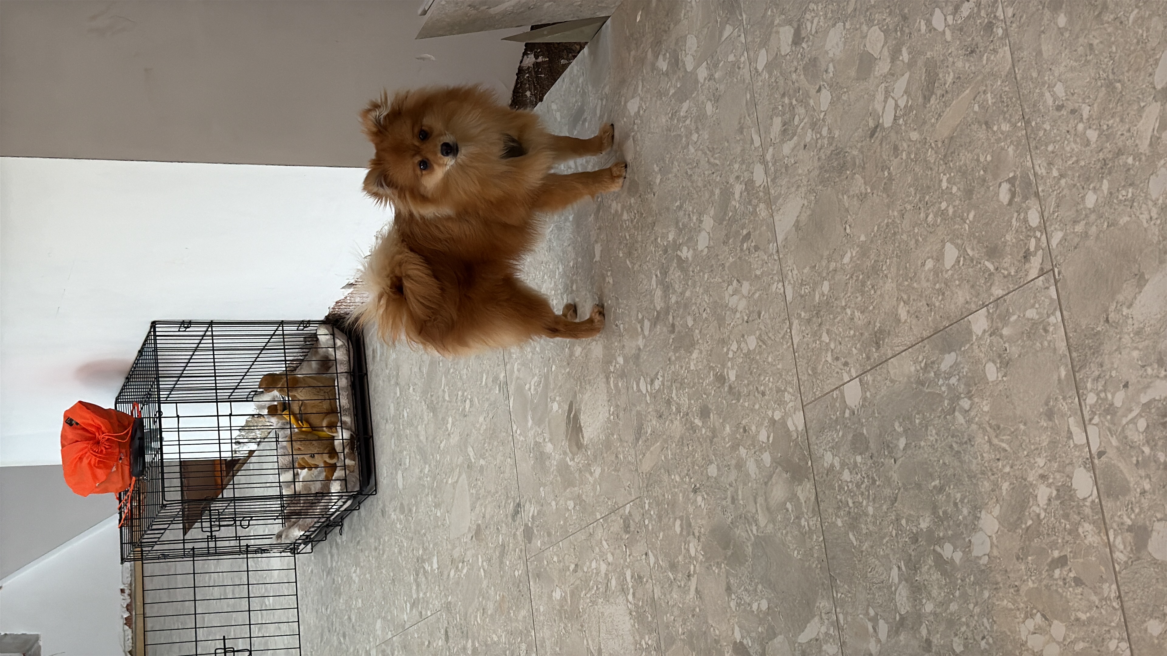 image-9