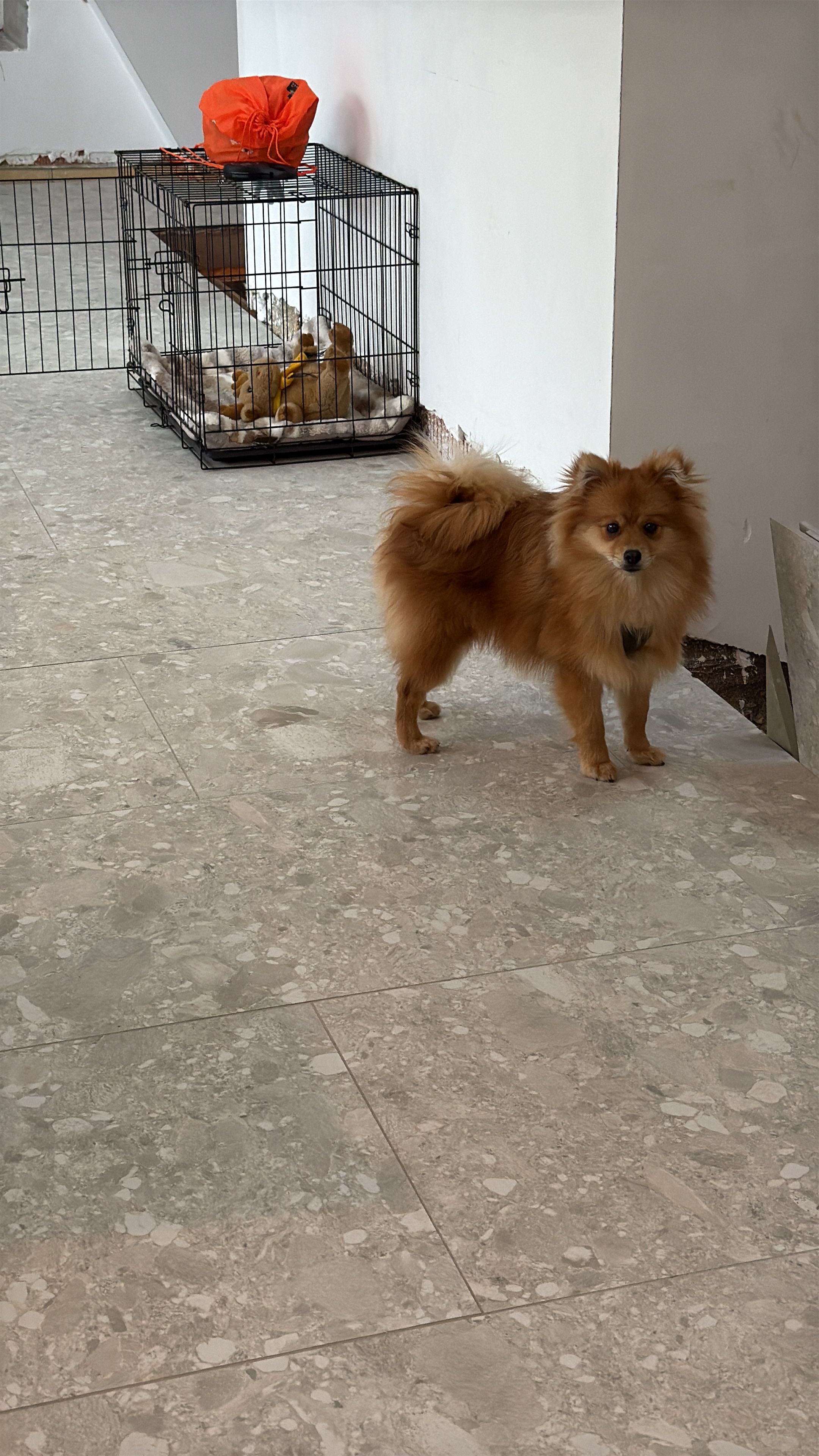 image-9