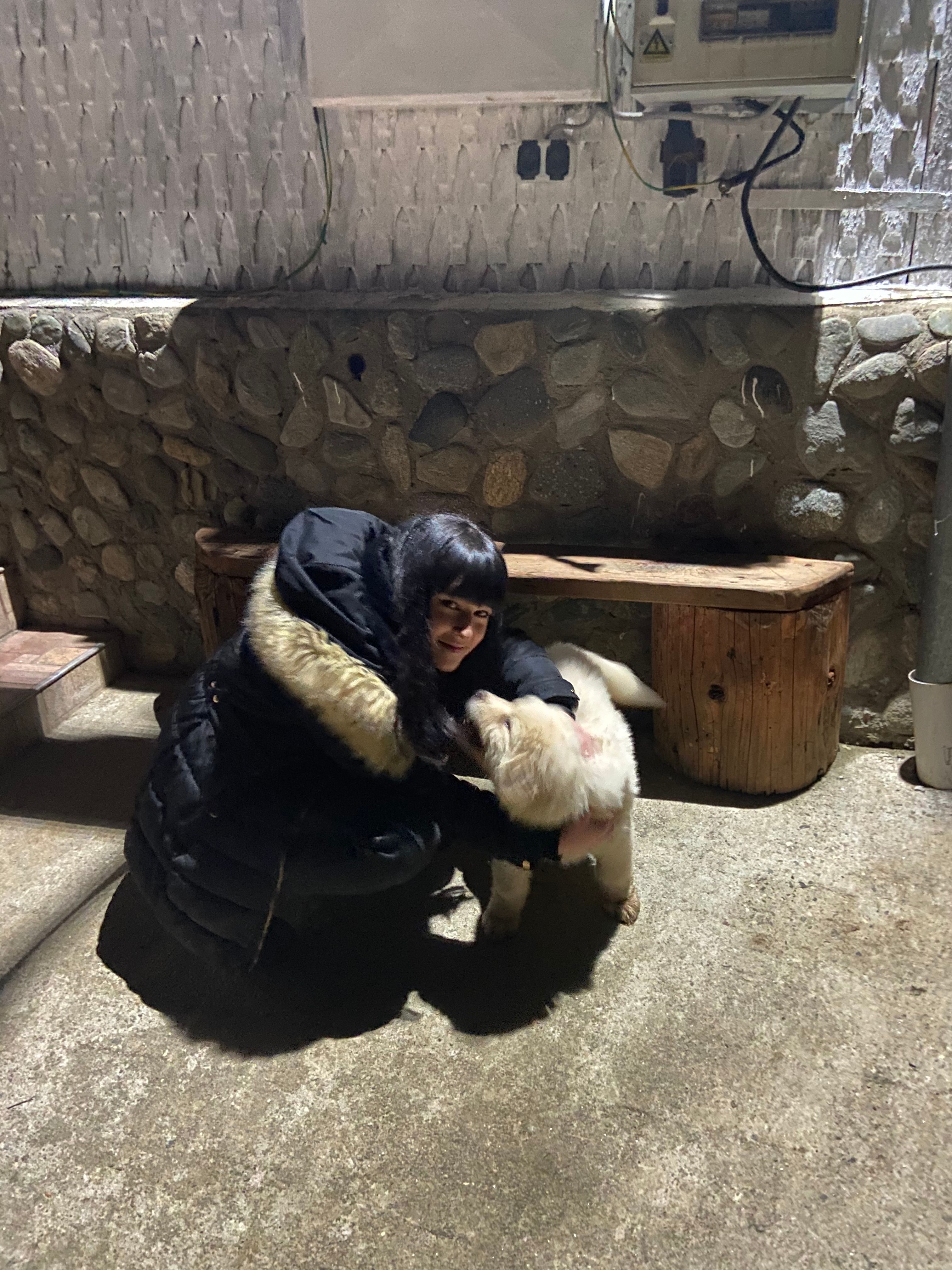 image-6