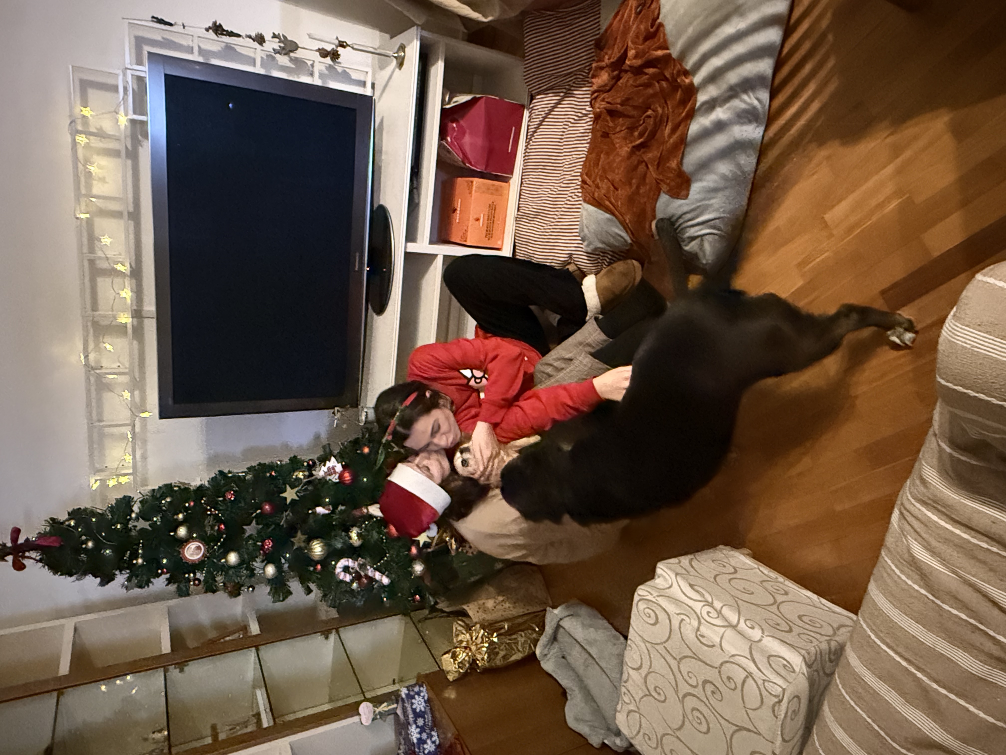 image-7
