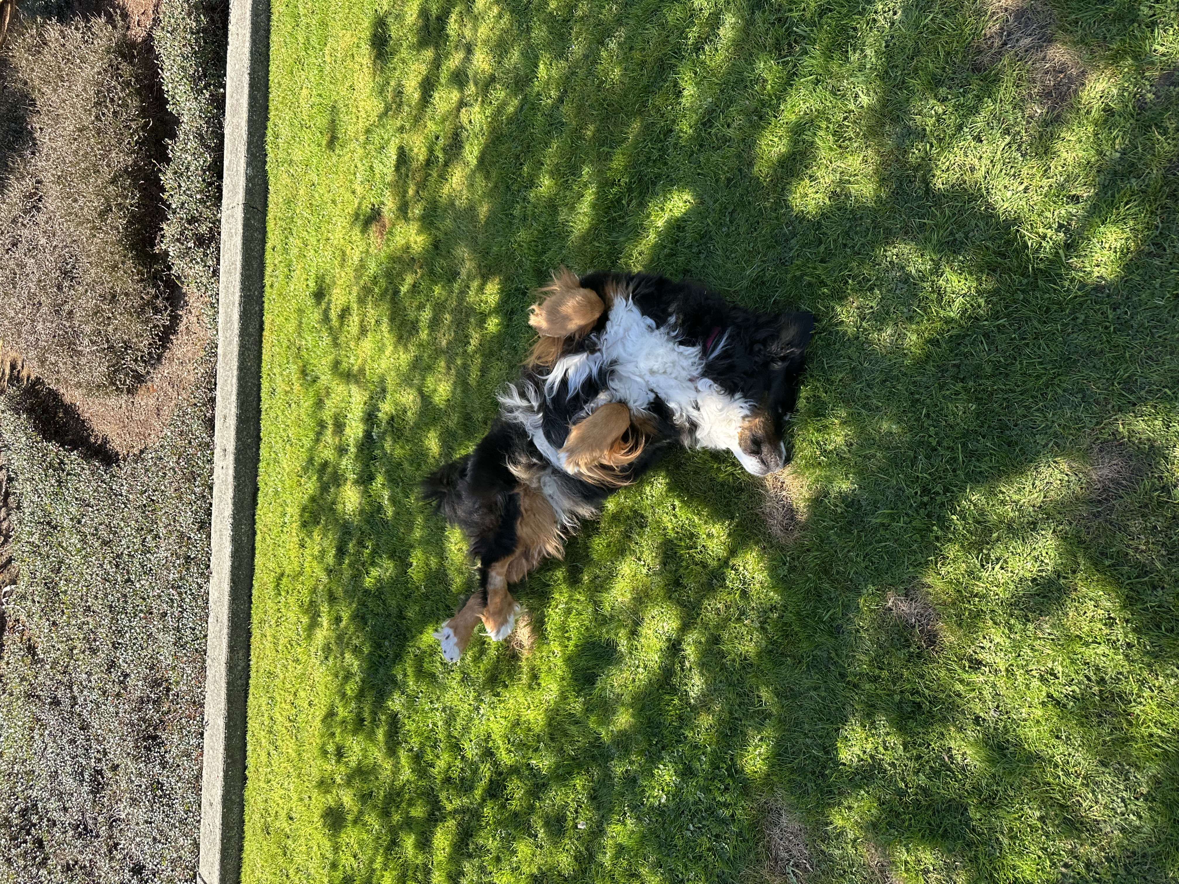 image-6
