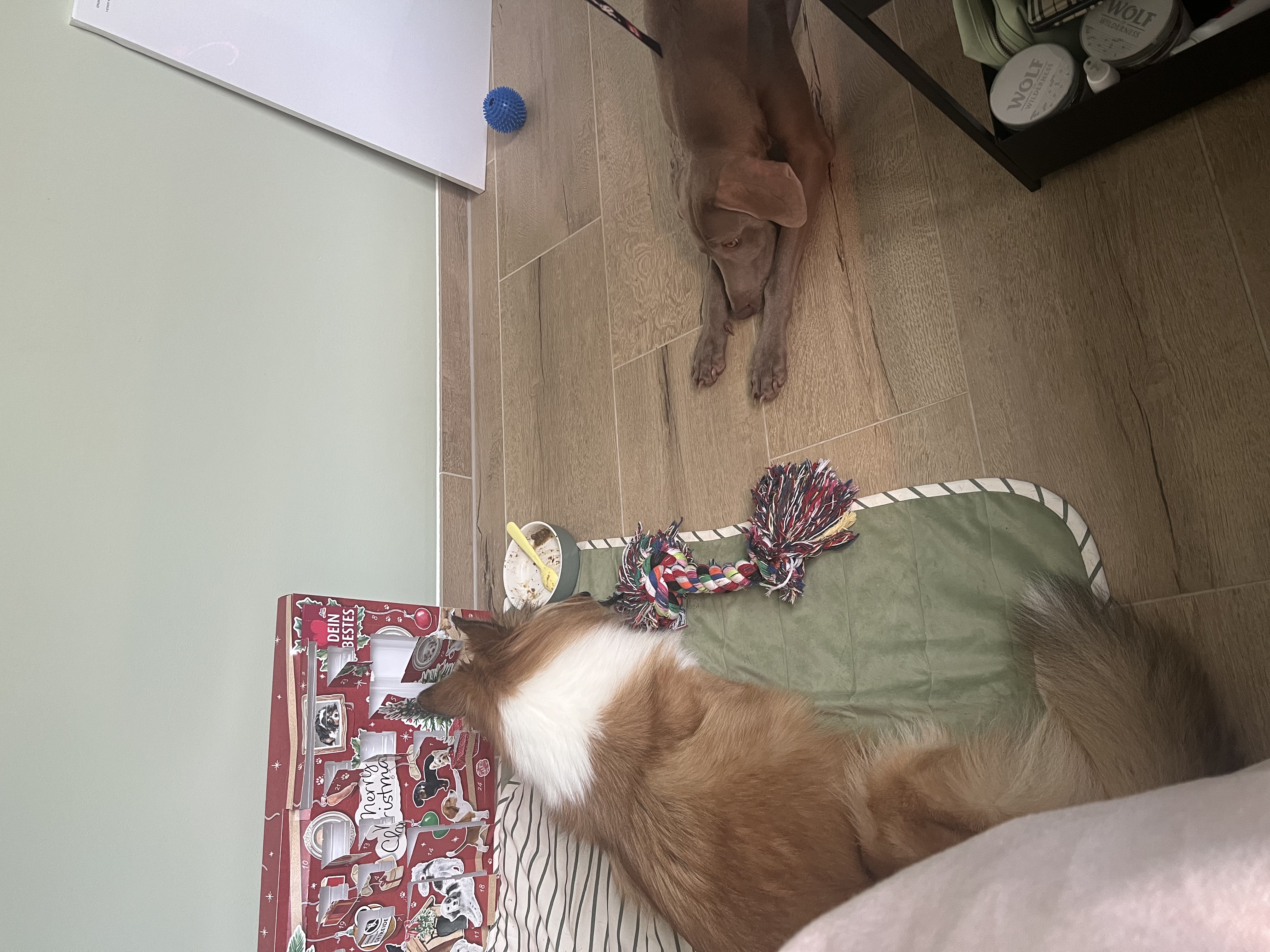 image-14