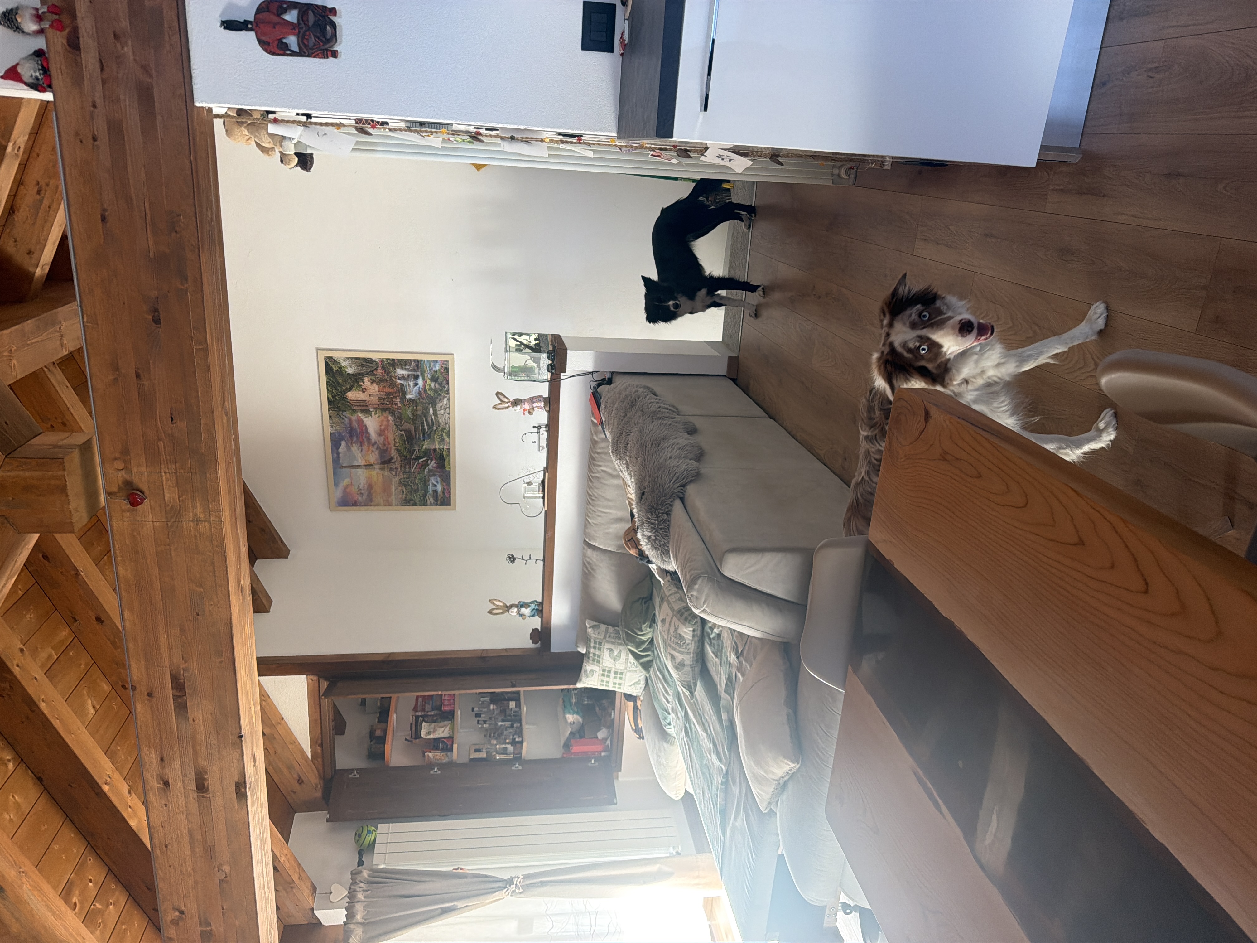 image-20