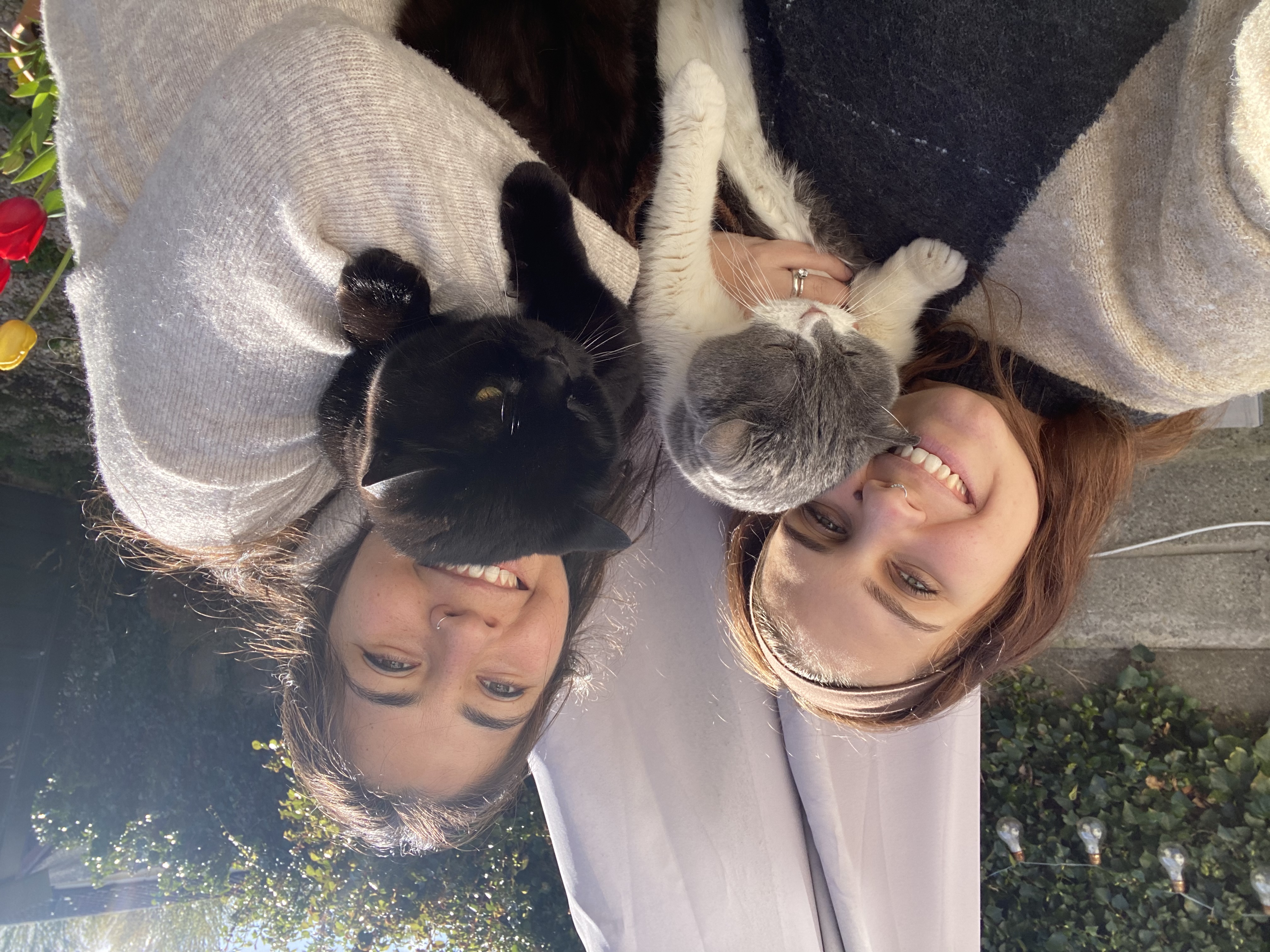 image-0