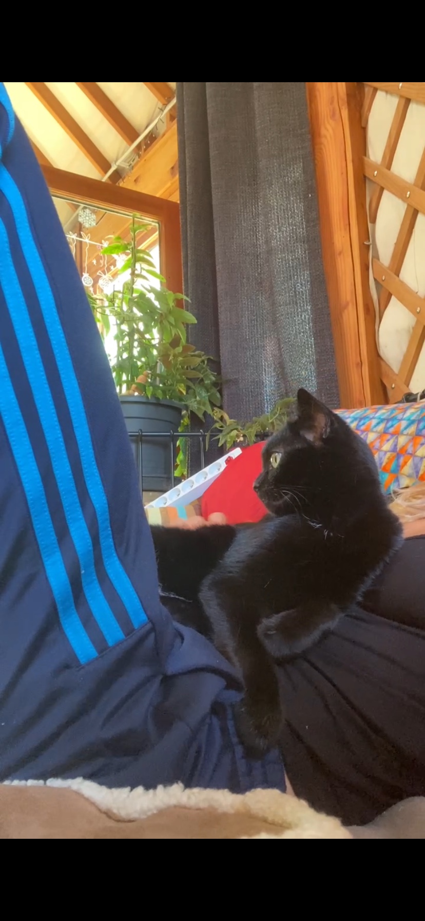 image-8