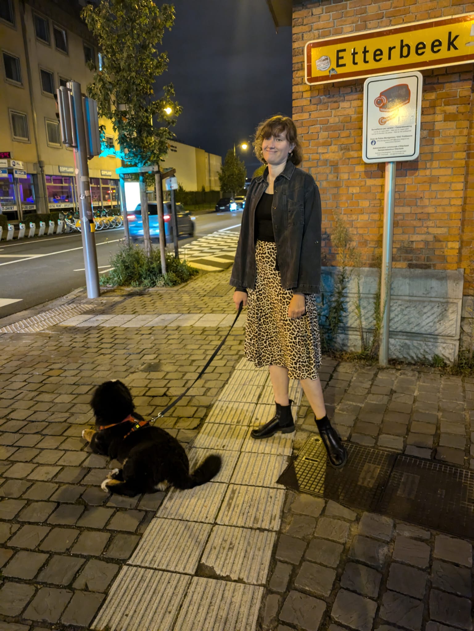 image-8