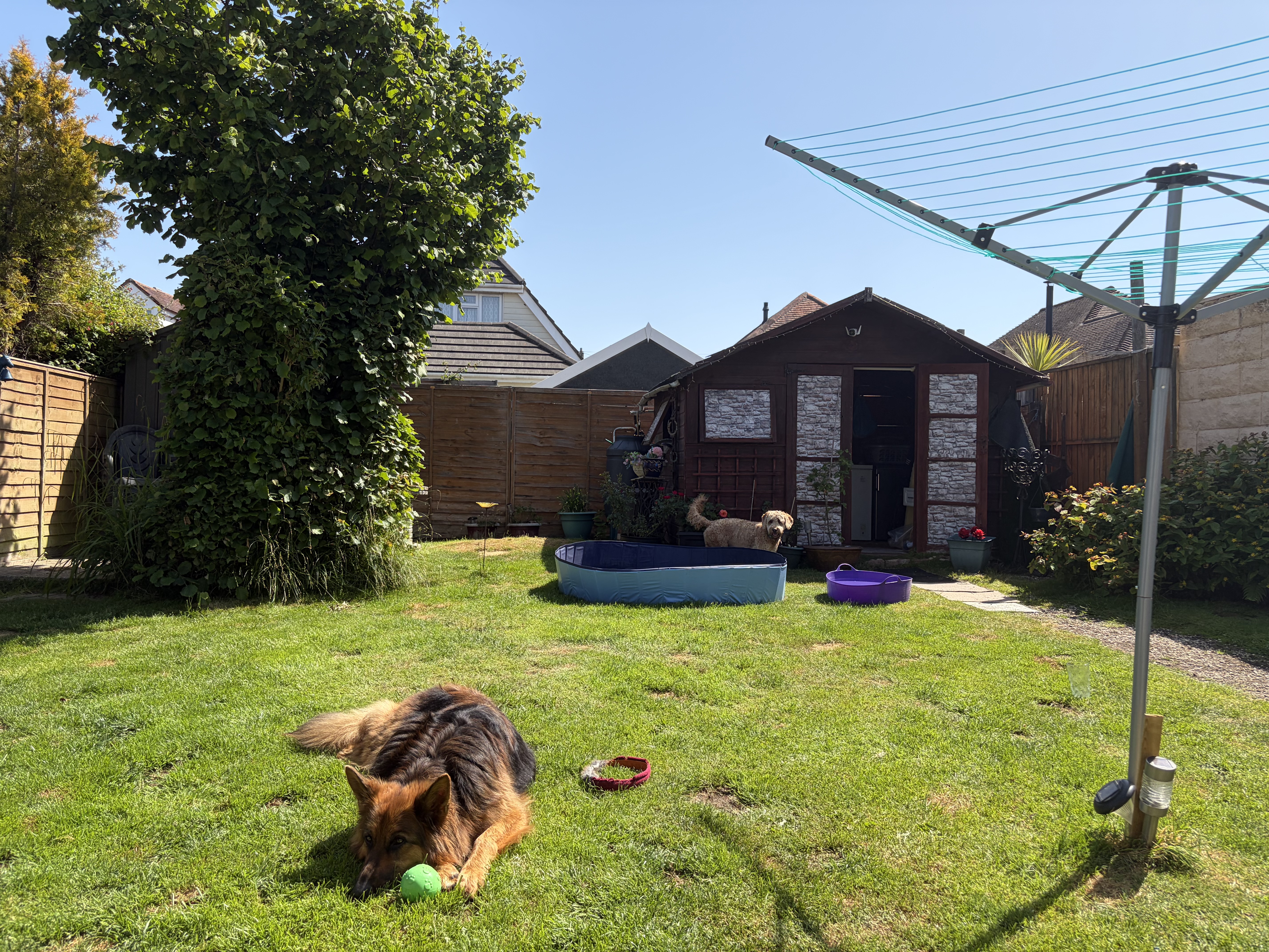image-13