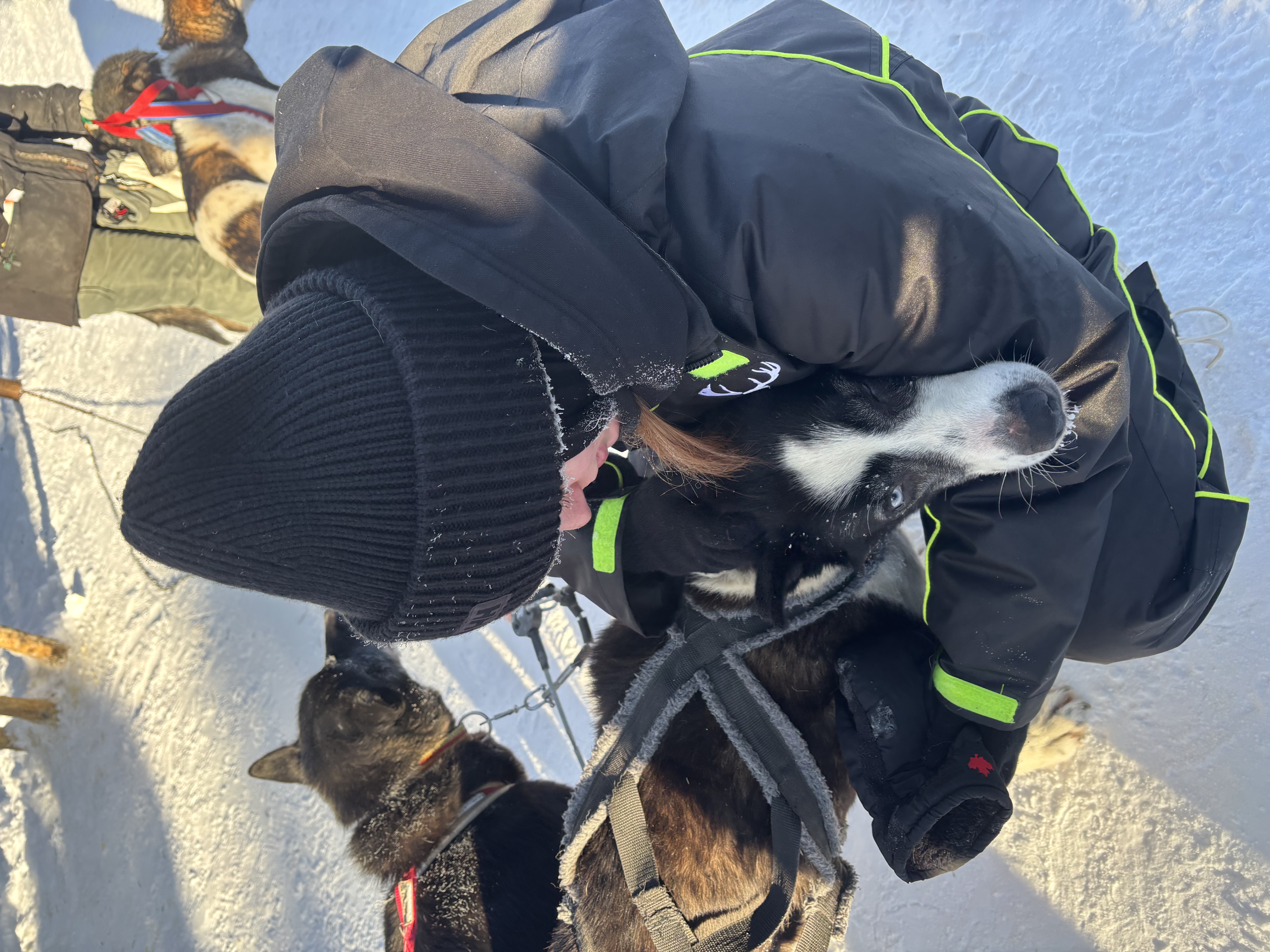 image-9