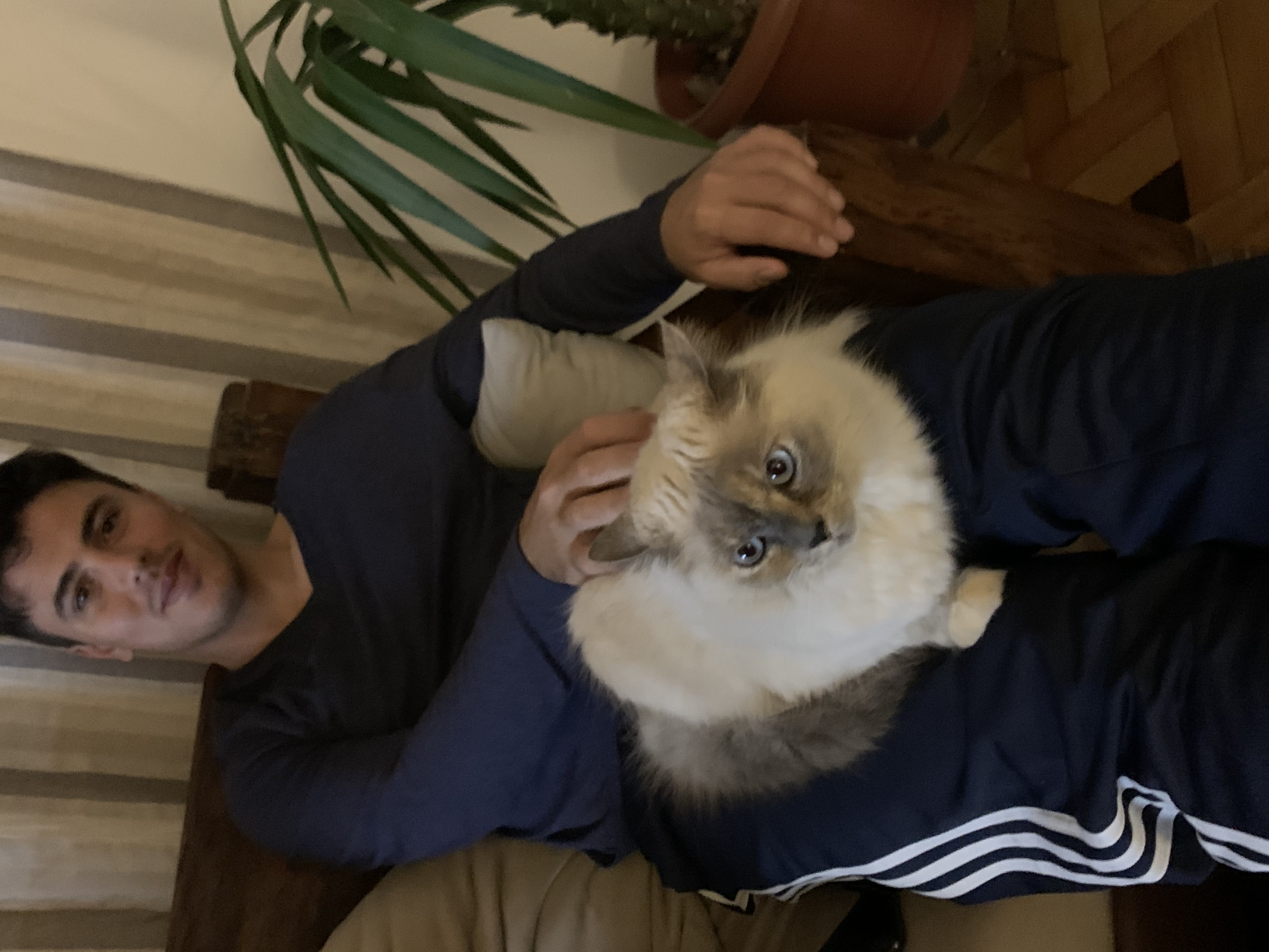 image-4