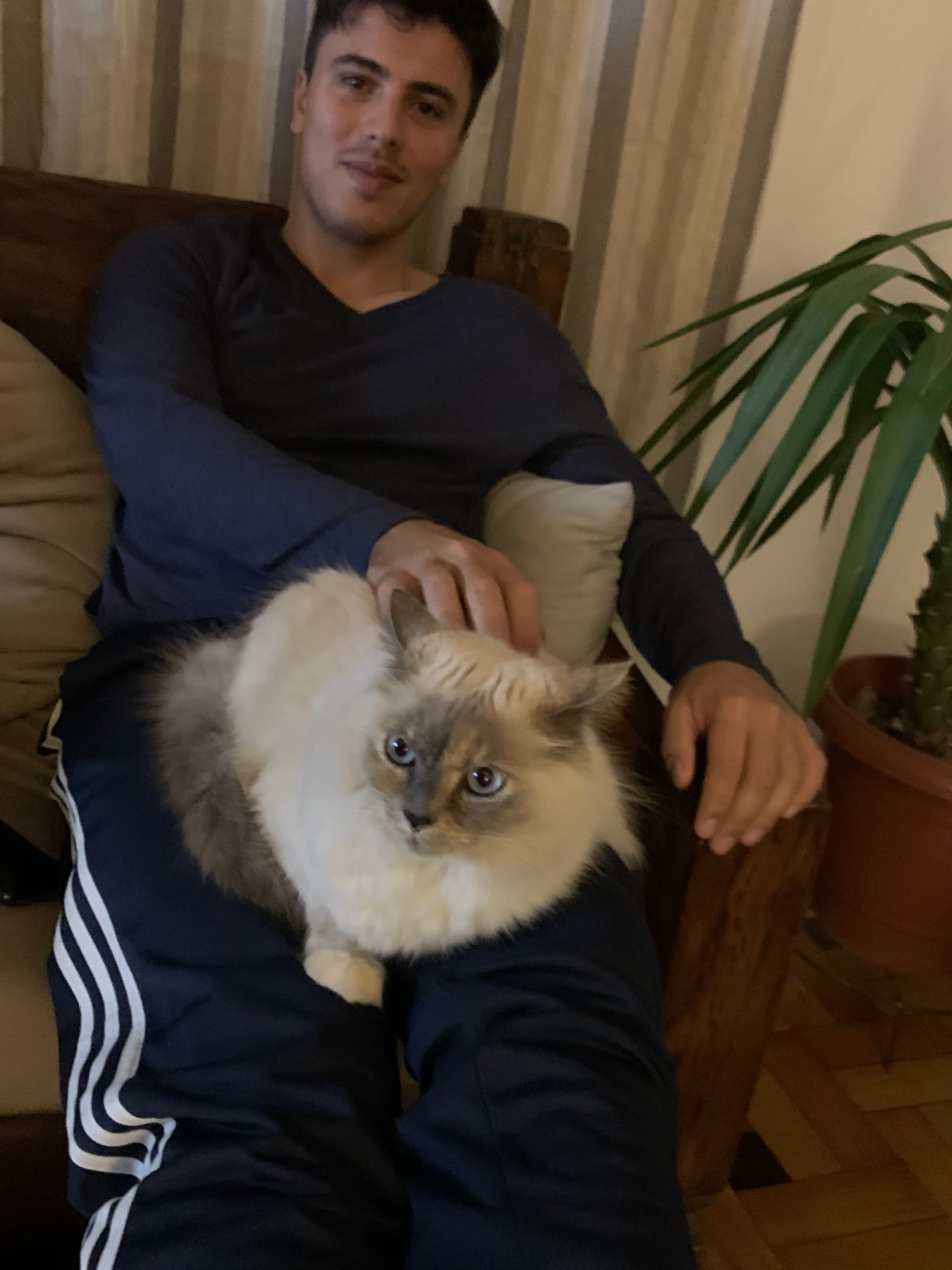 image-4