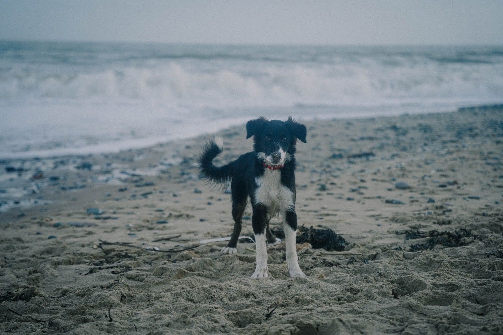 image-6