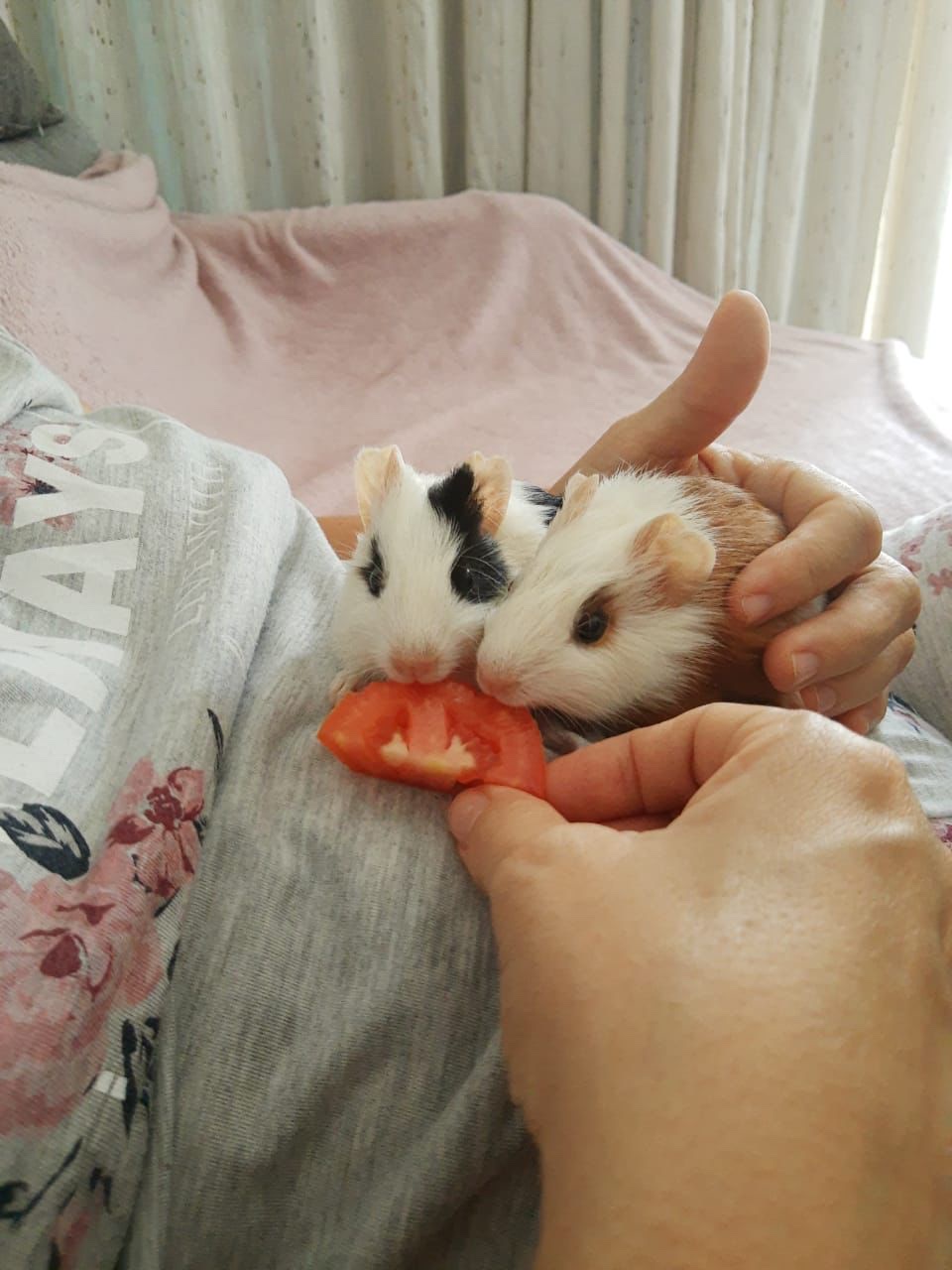 image-5