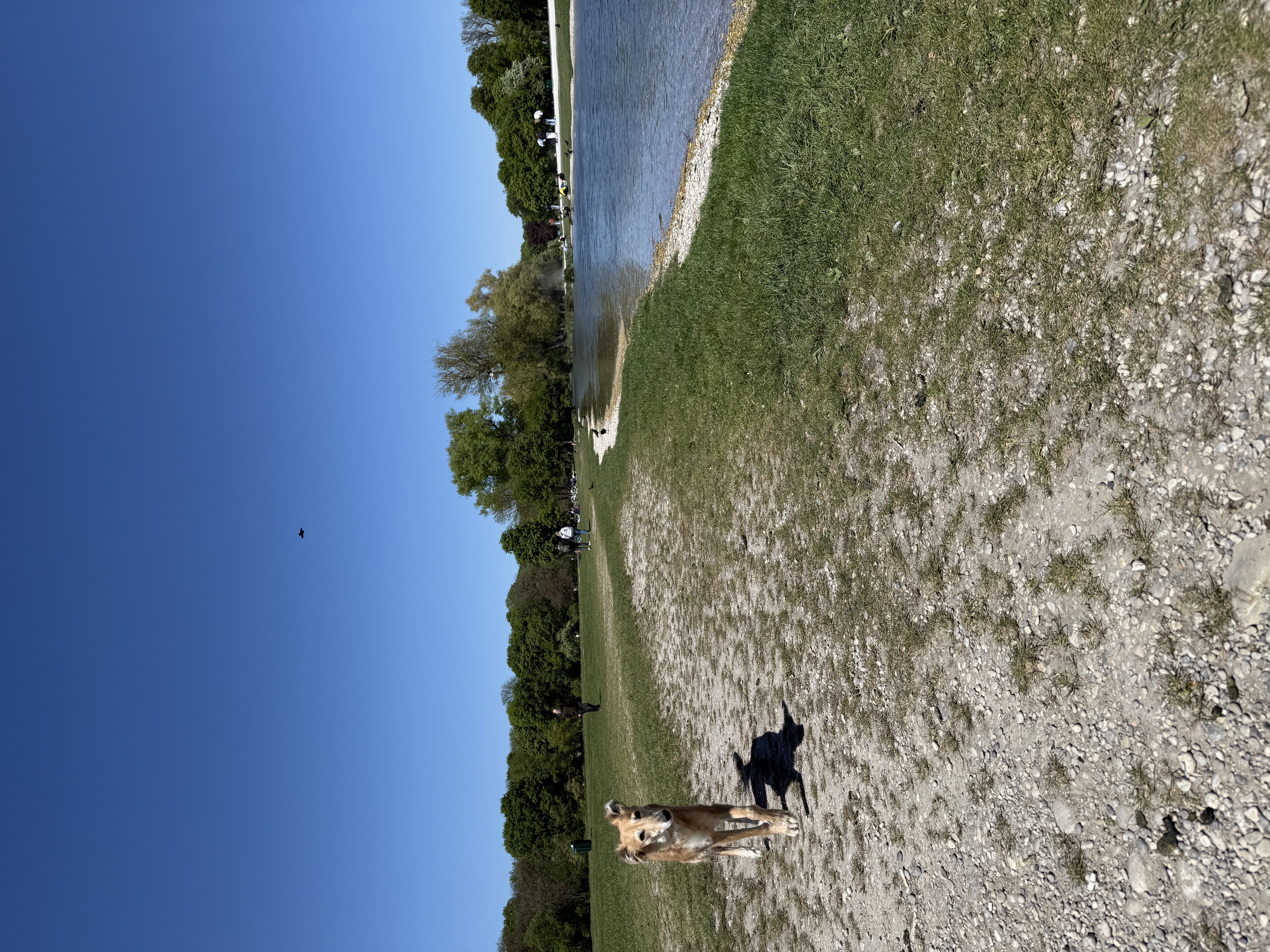 image-14