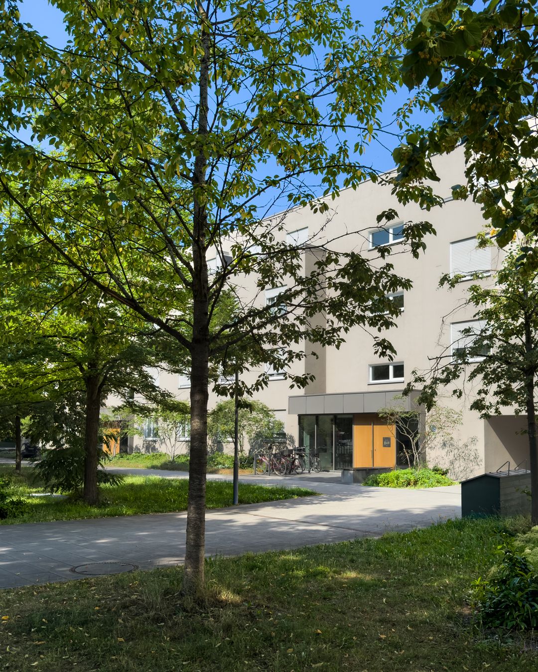 image-19