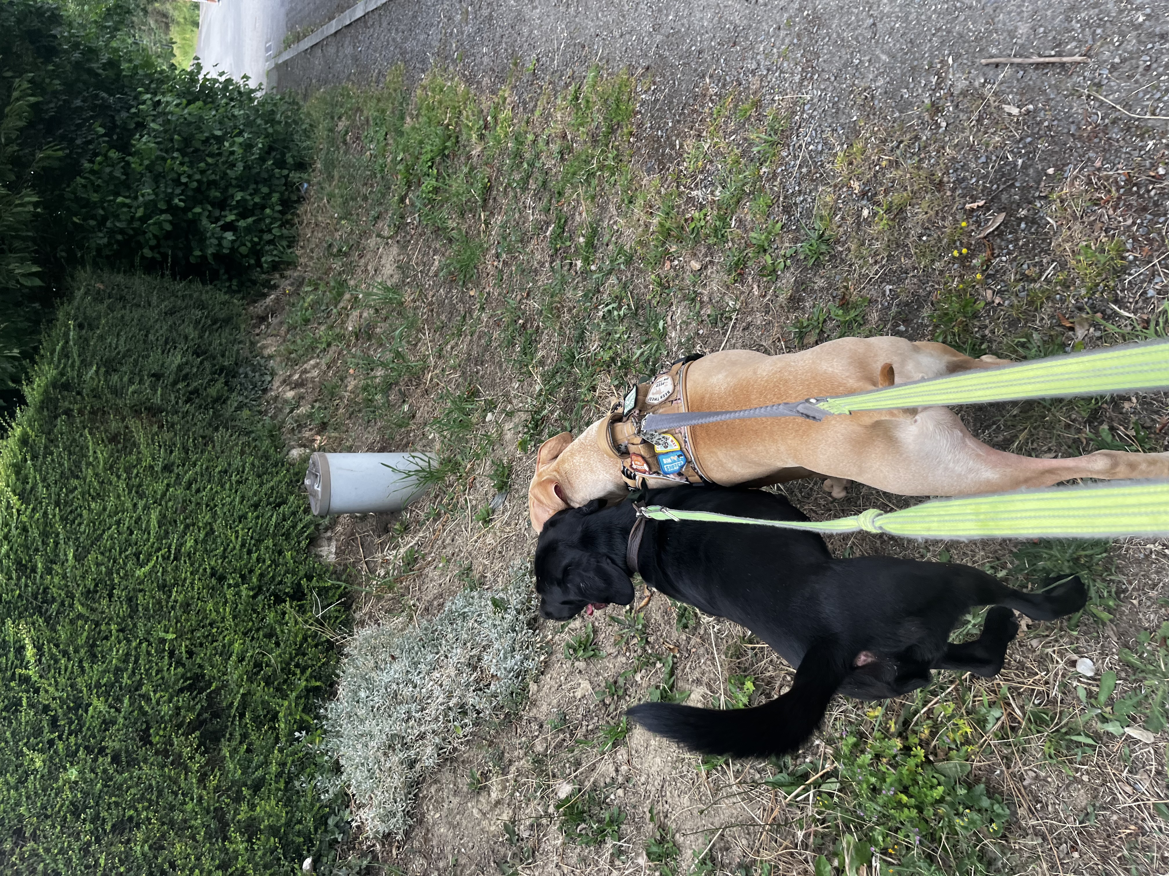 image-8