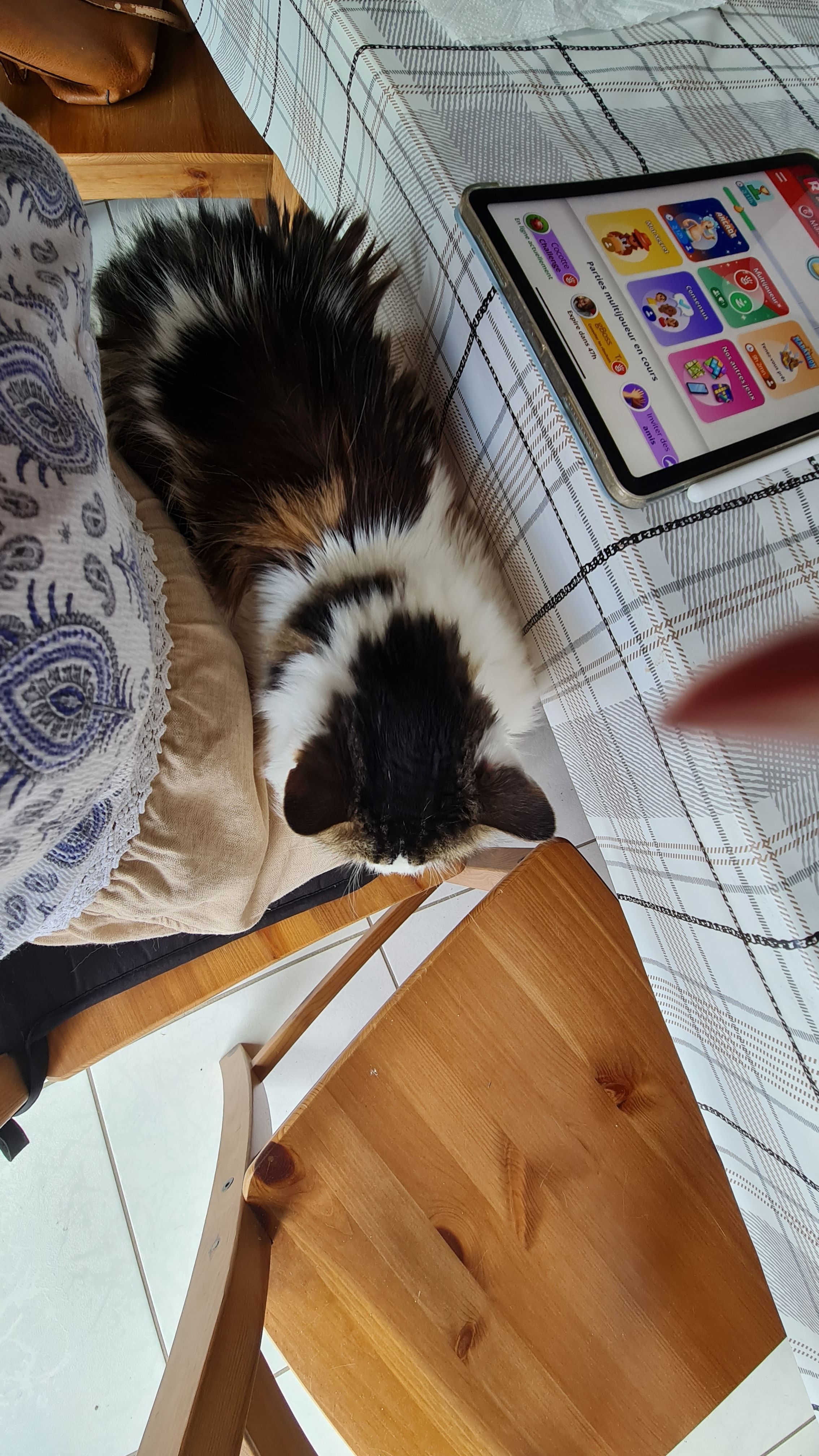 image-10
