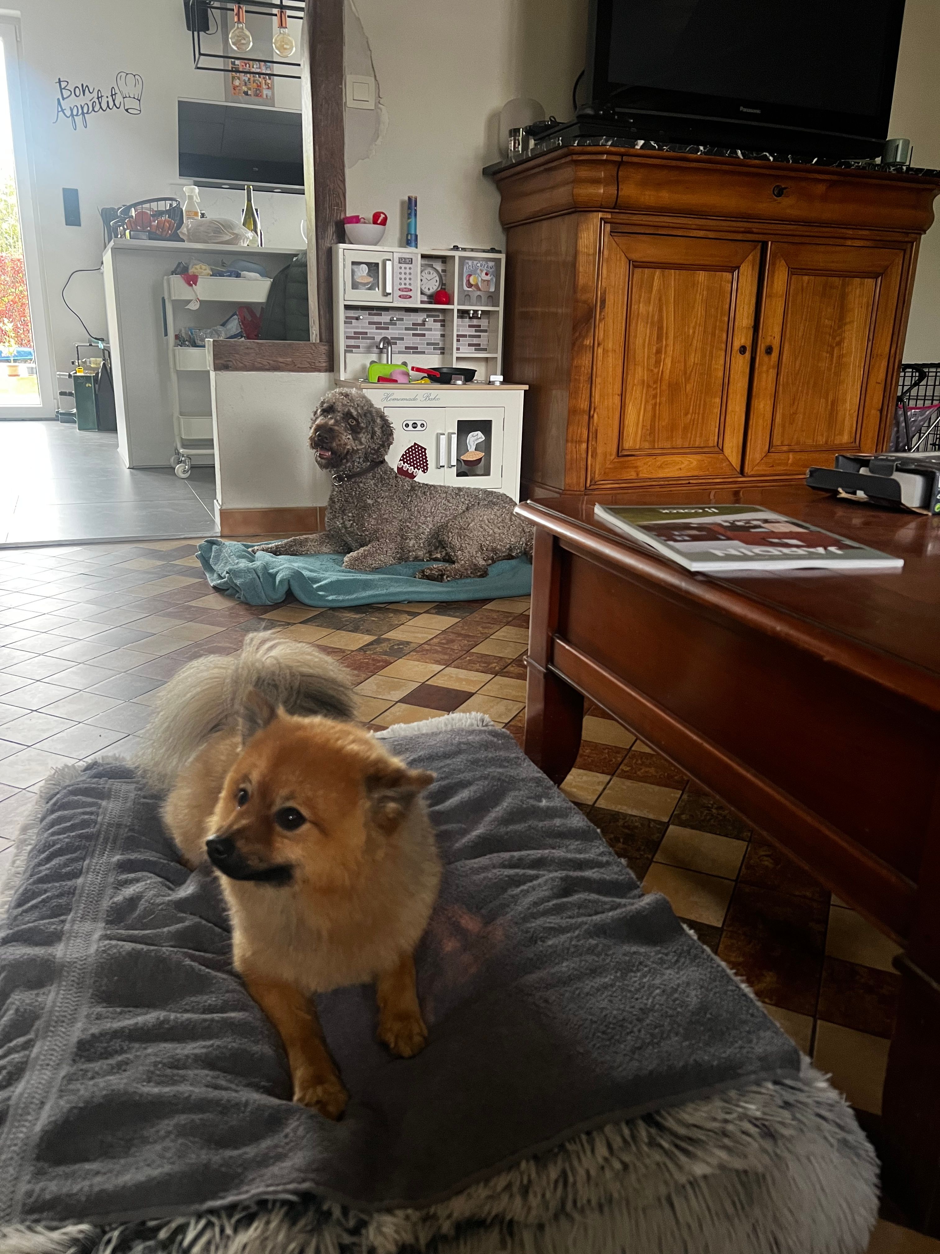image-13