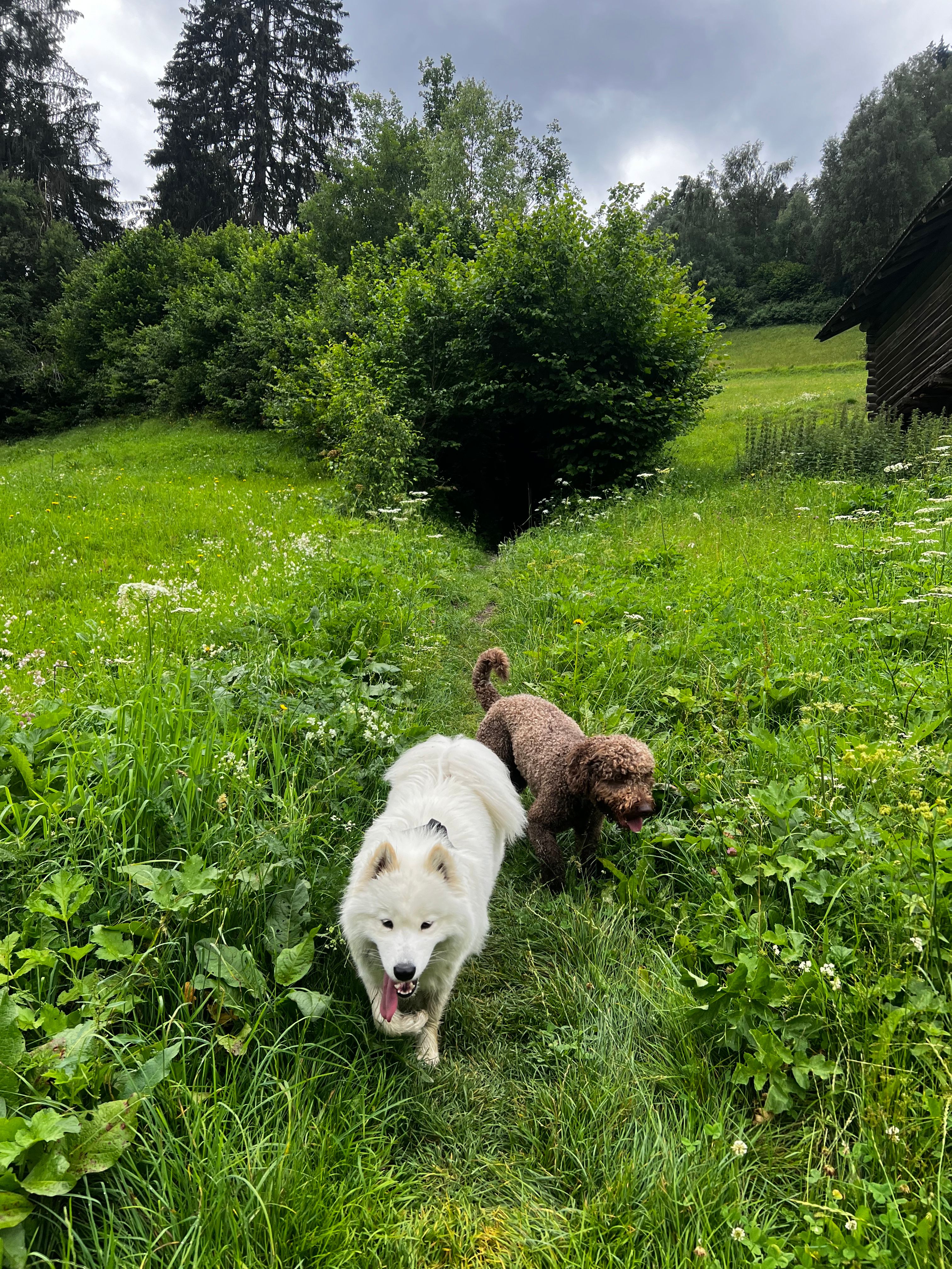 image-10