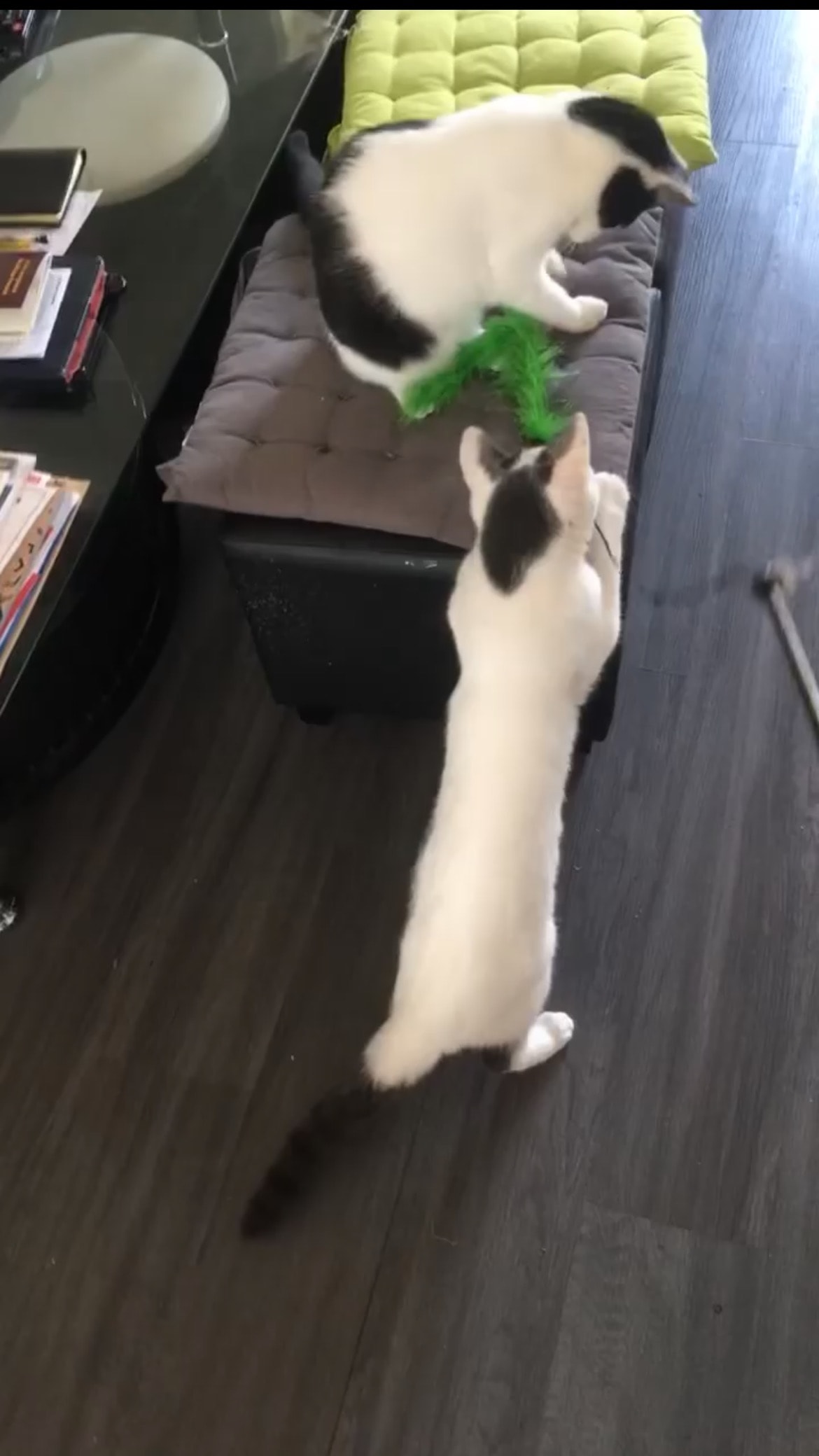 image-7