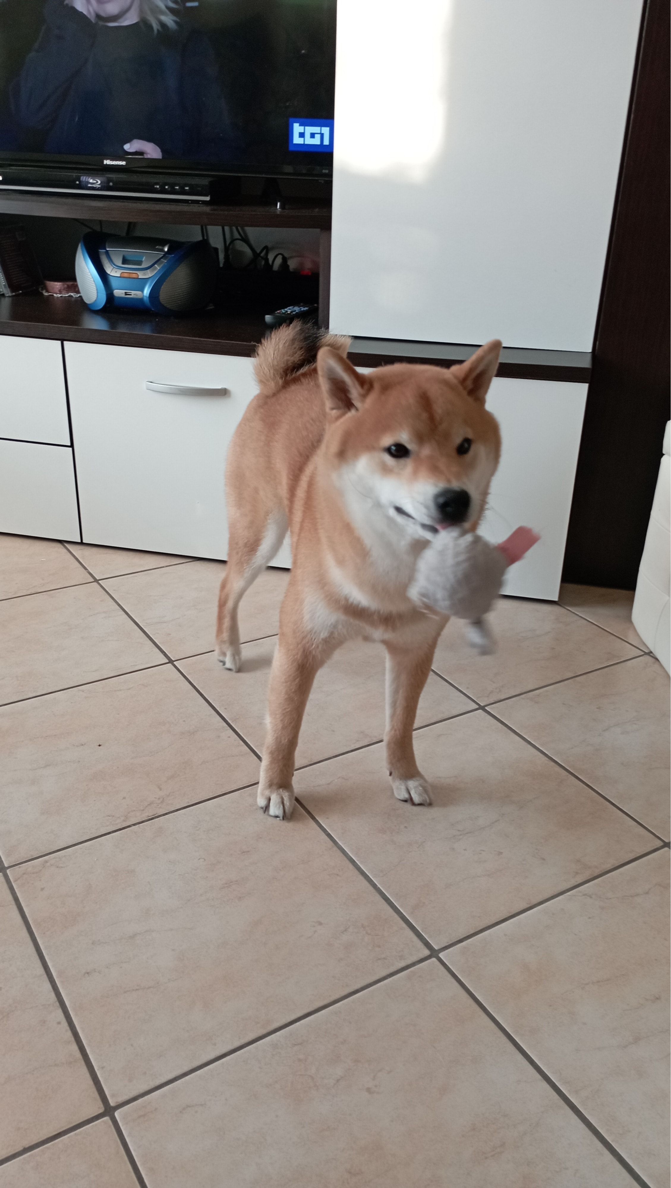 image-6