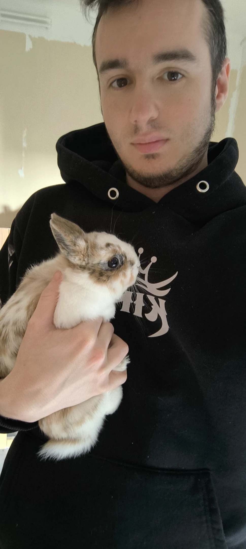 image-2