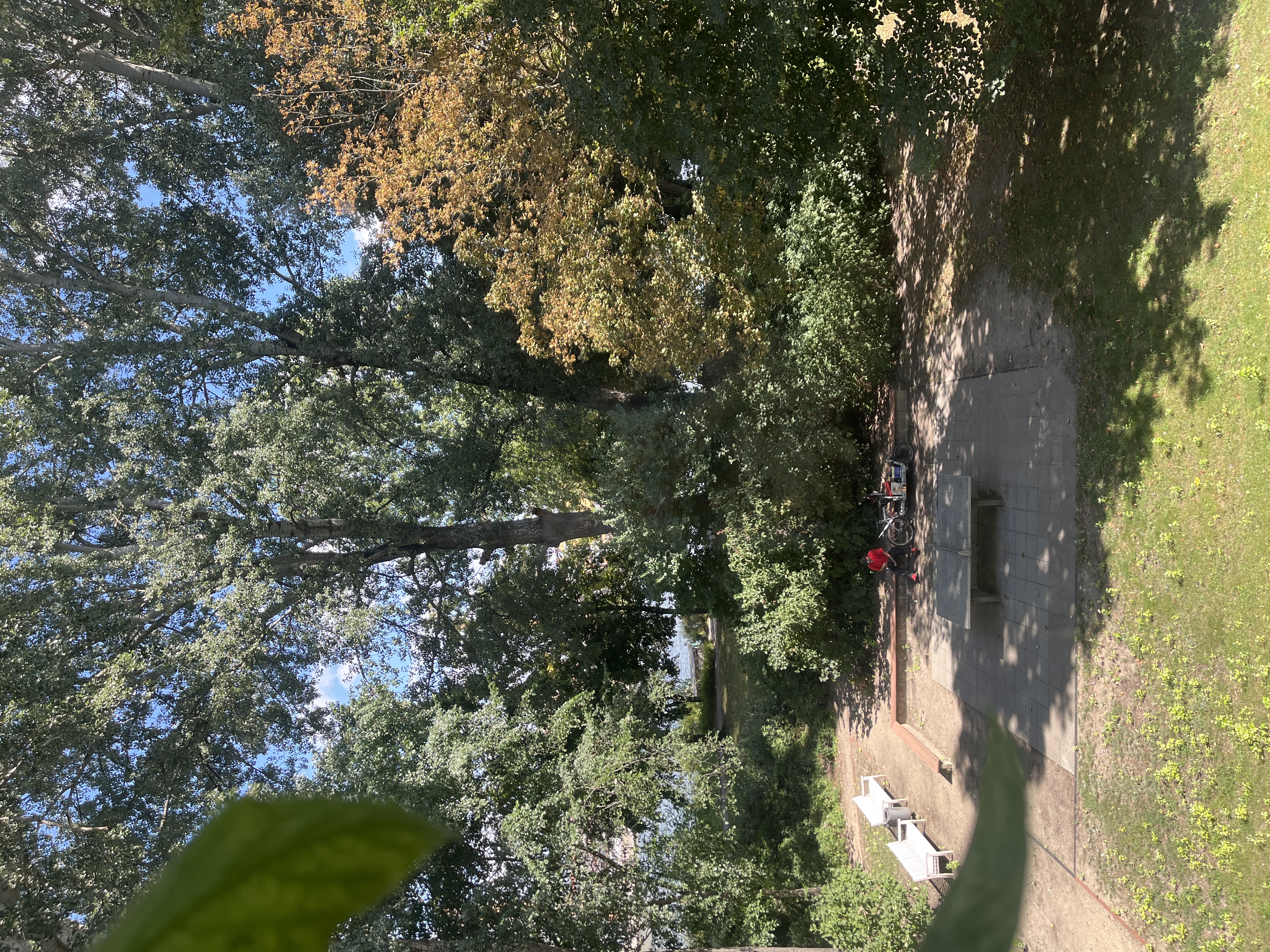 image-16