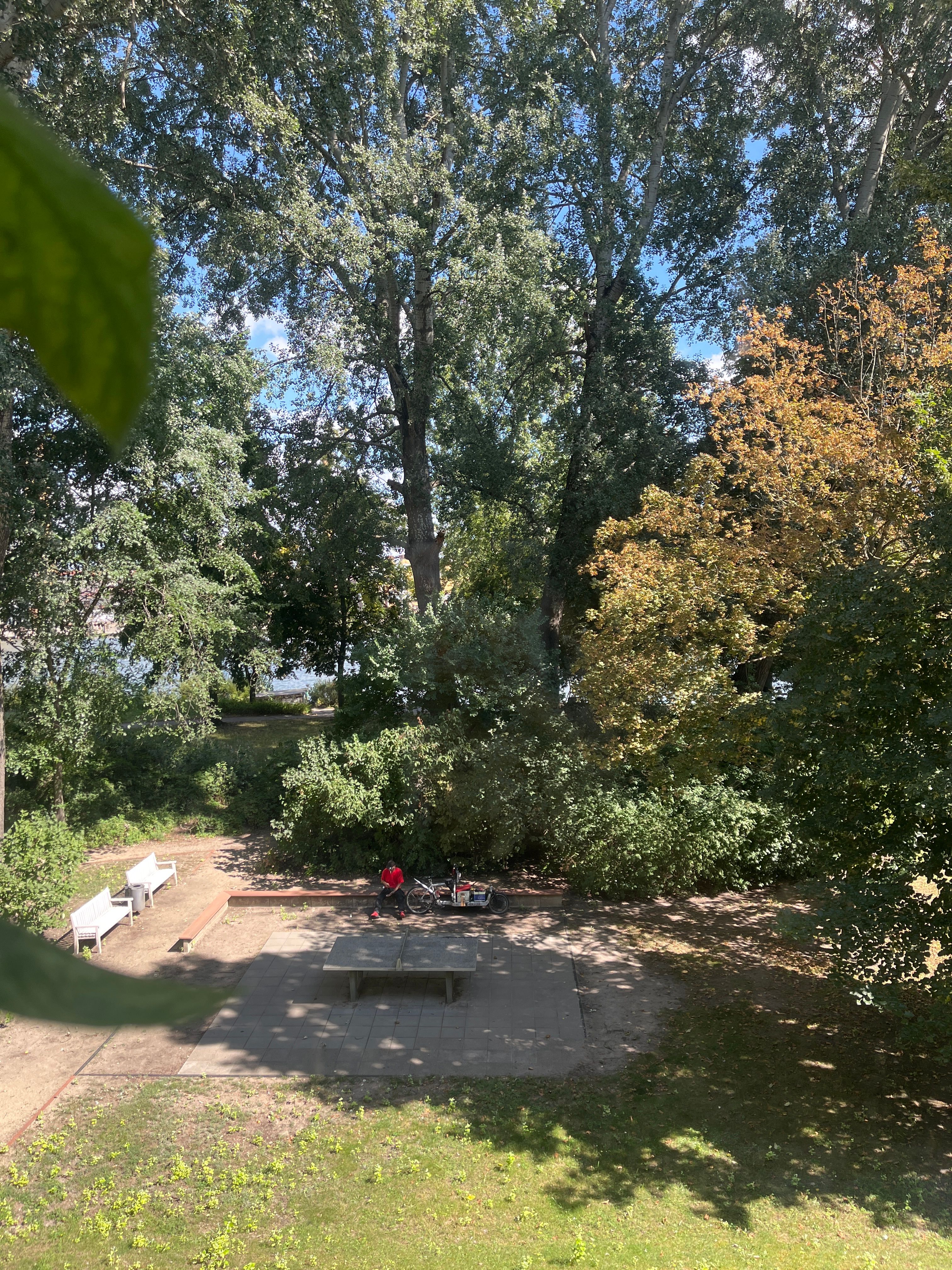 image-16
