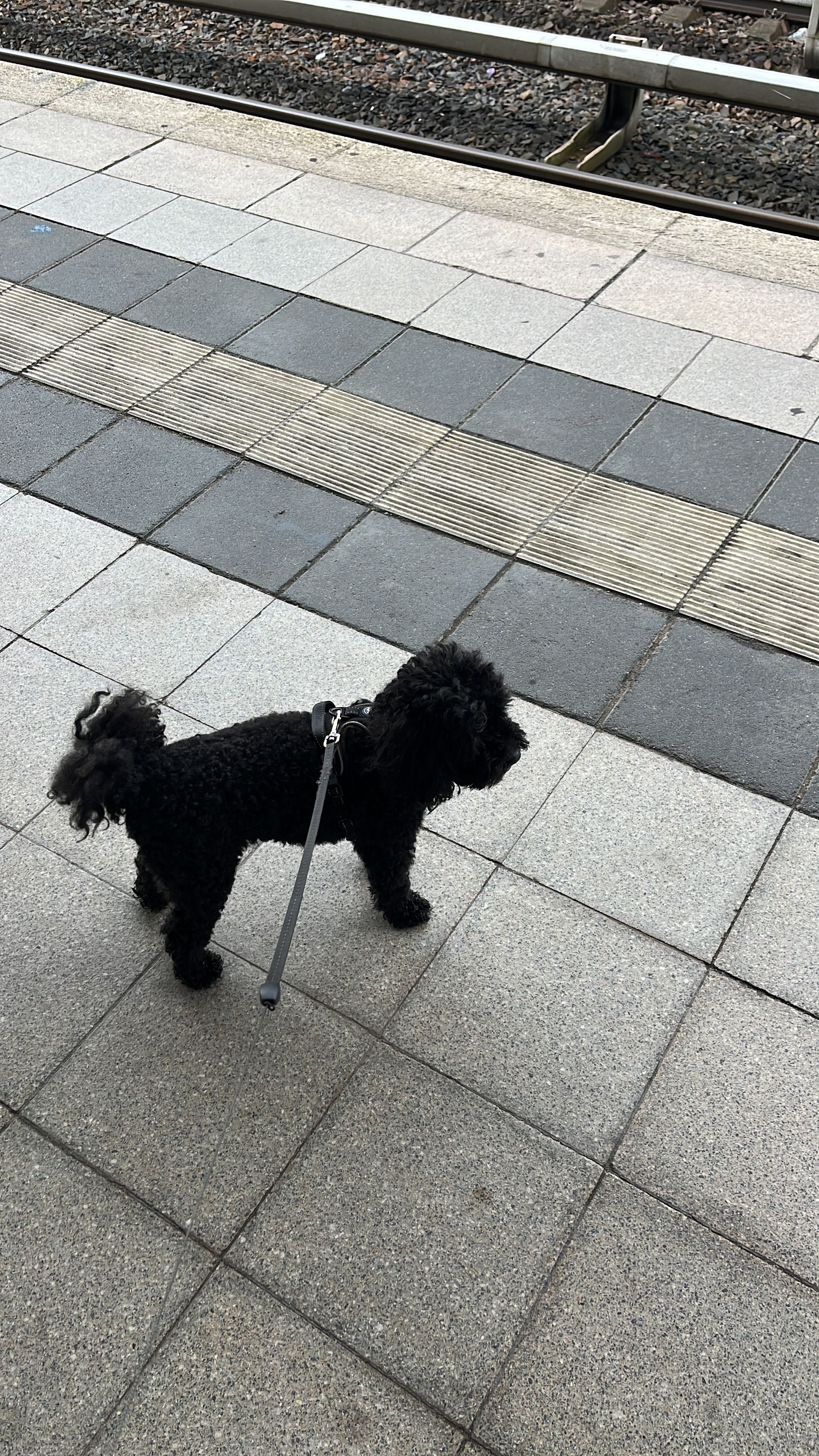 image-6