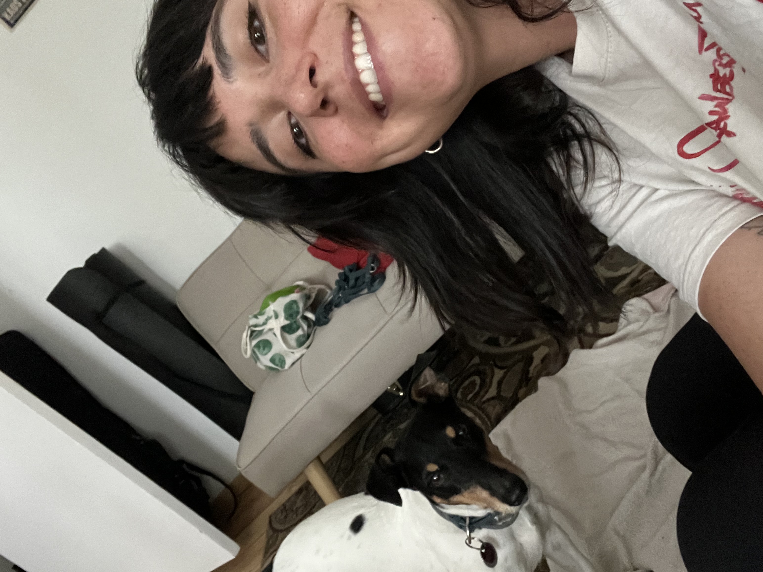 image-13
