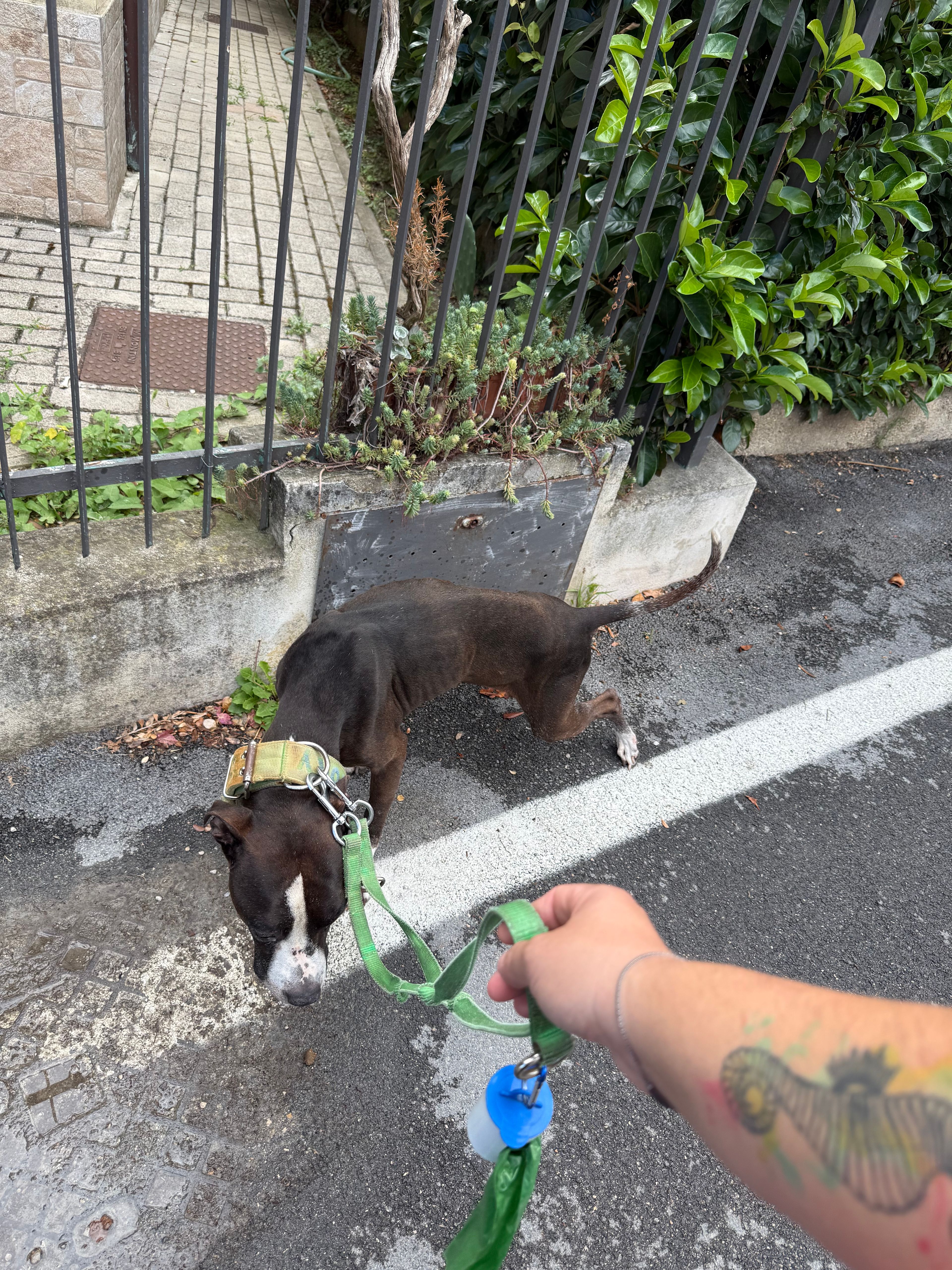 image-9
