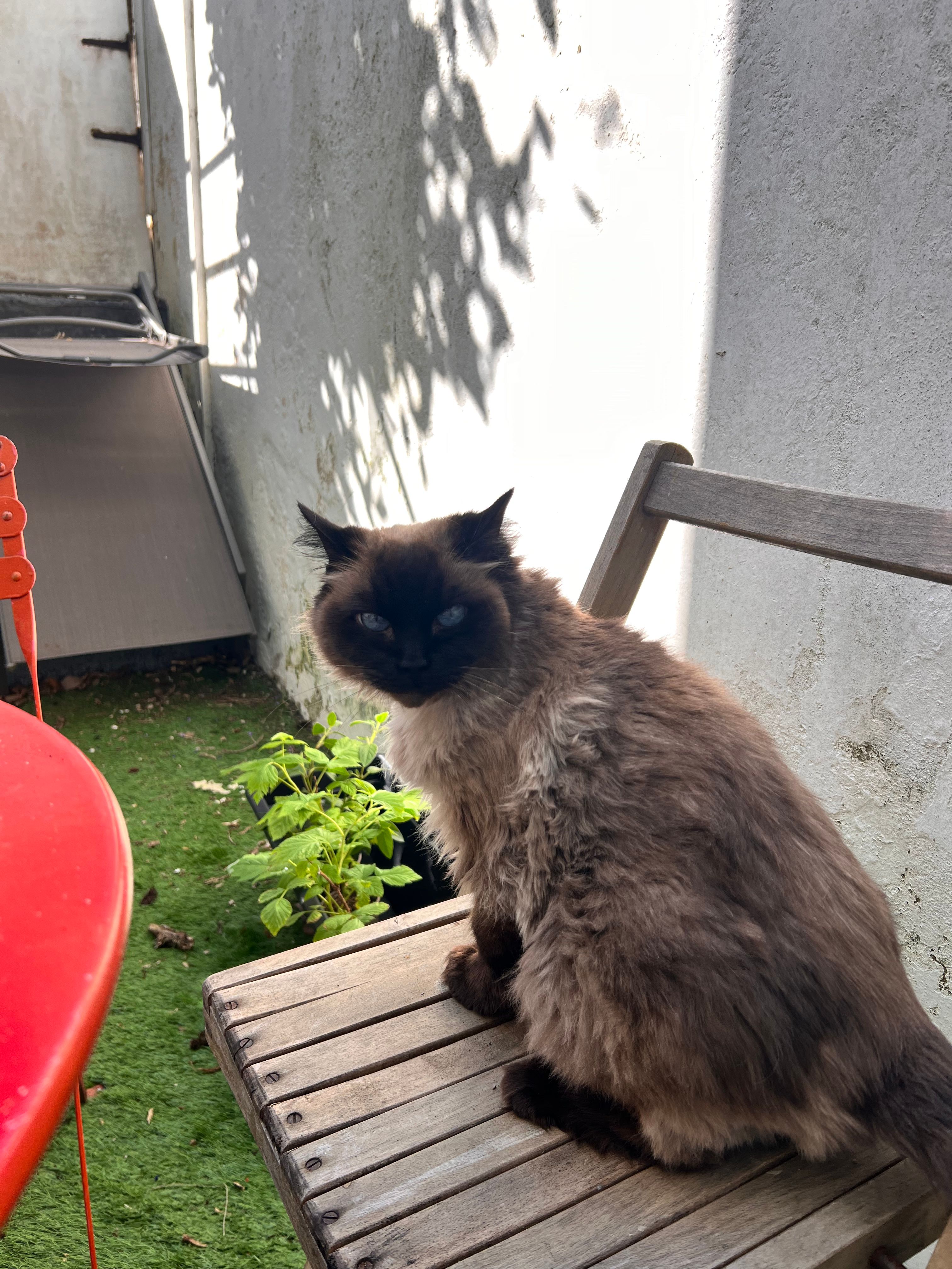 image-7