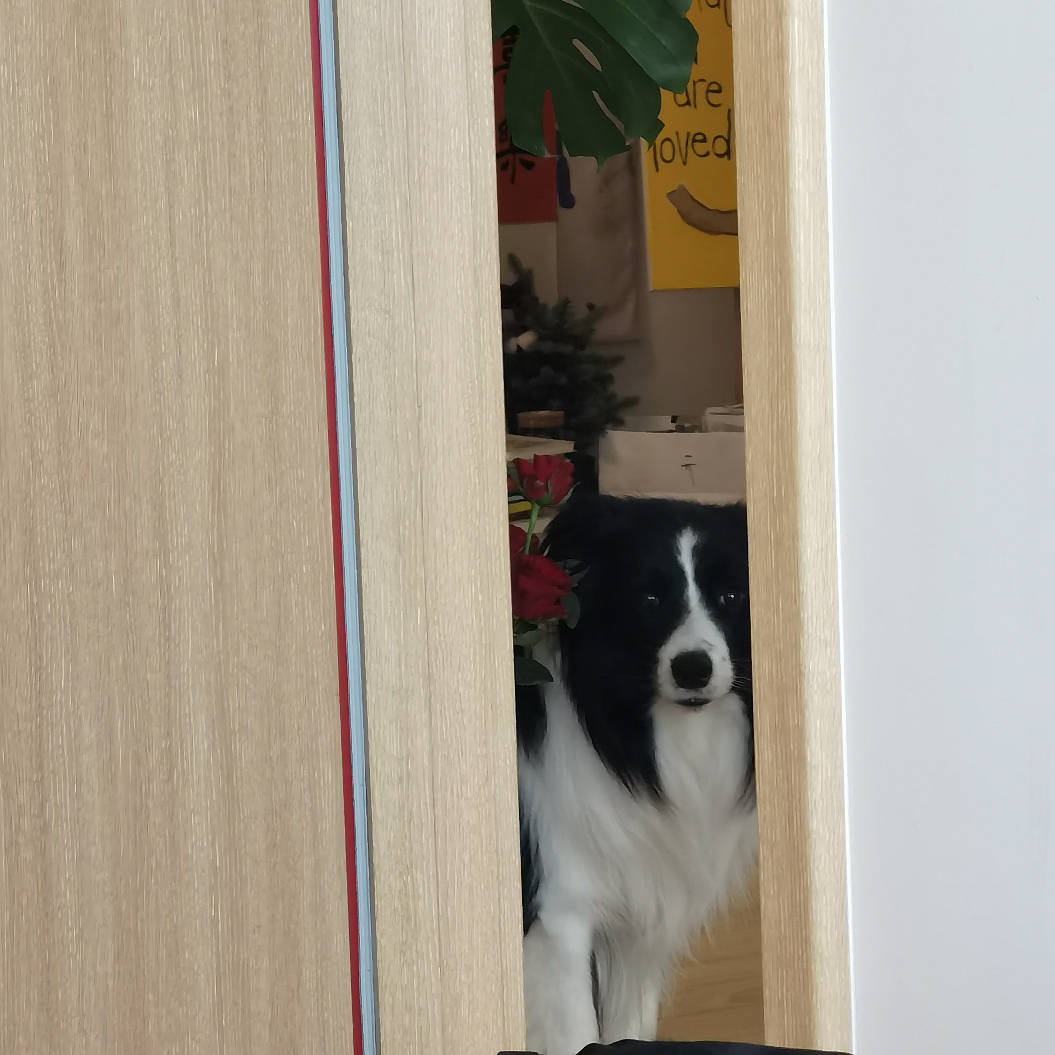 Sam
