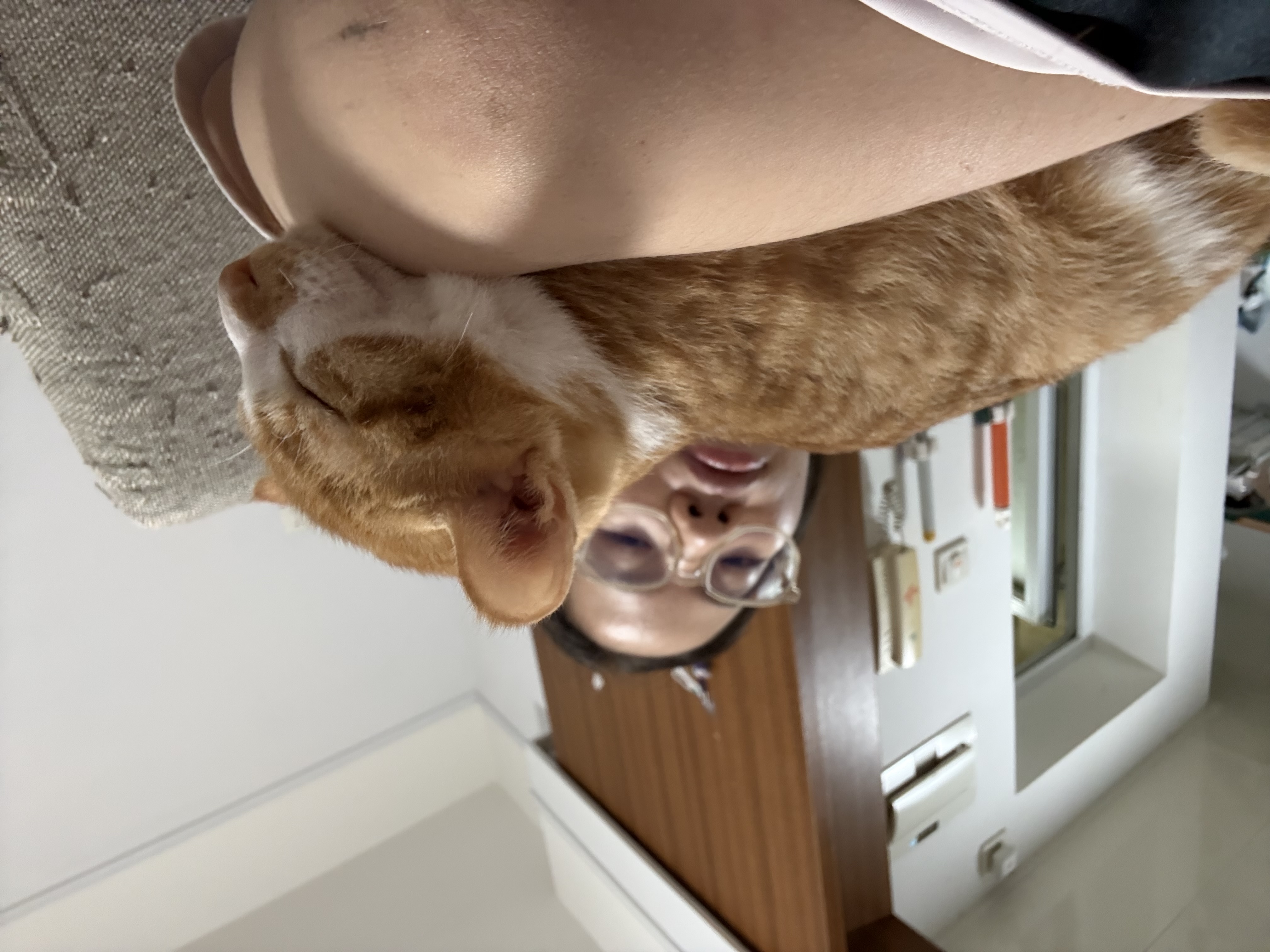 image-10