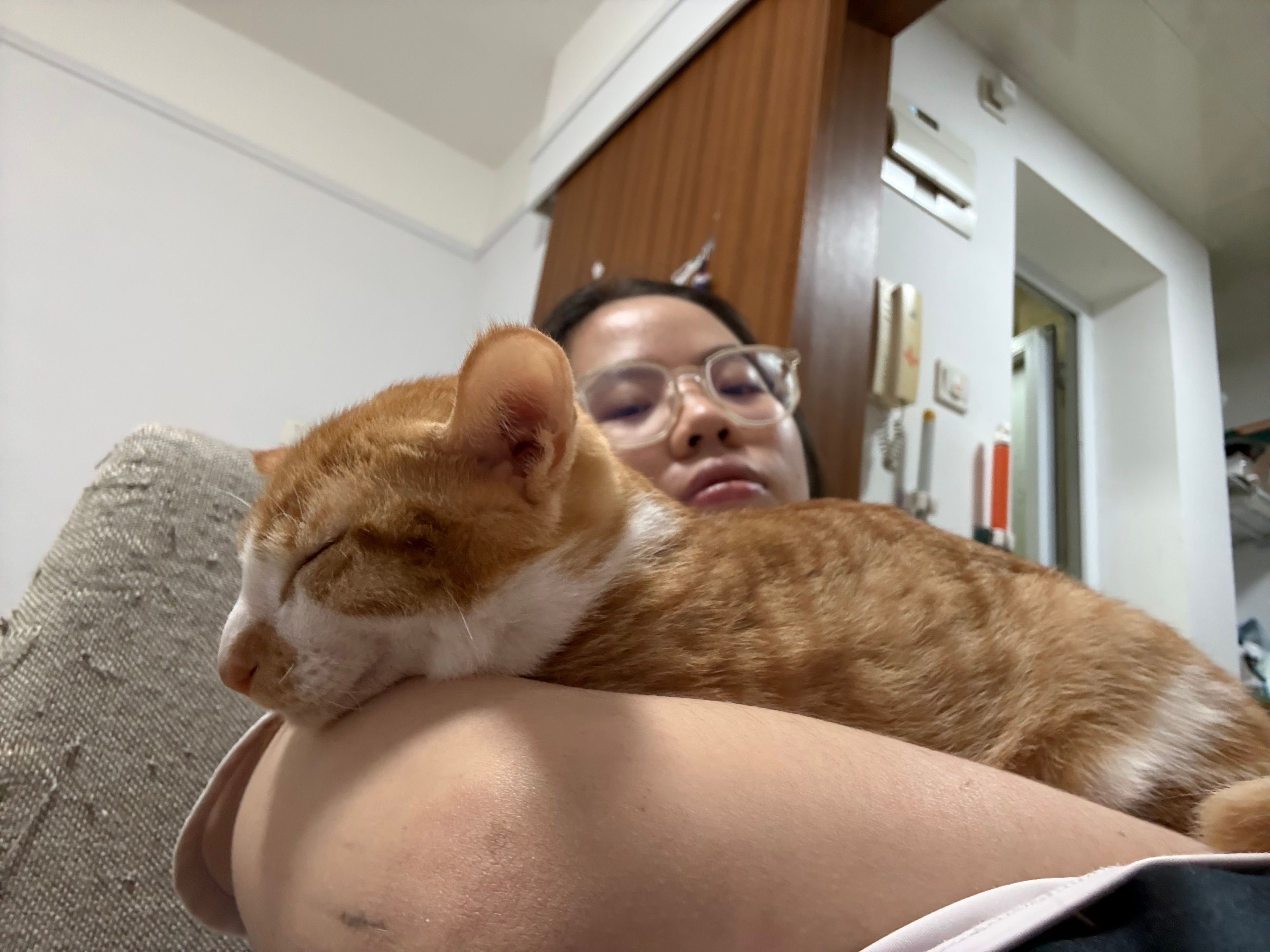 image-10