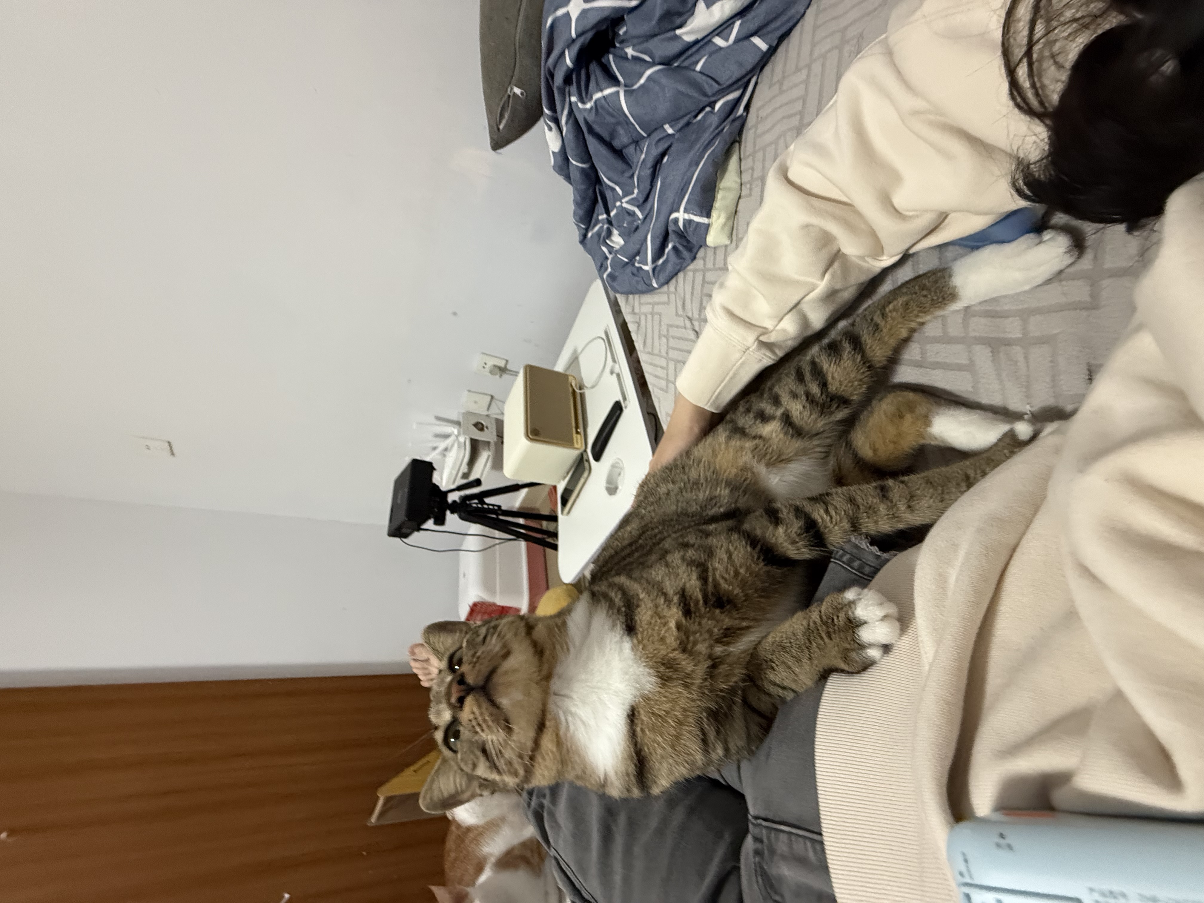 image-7