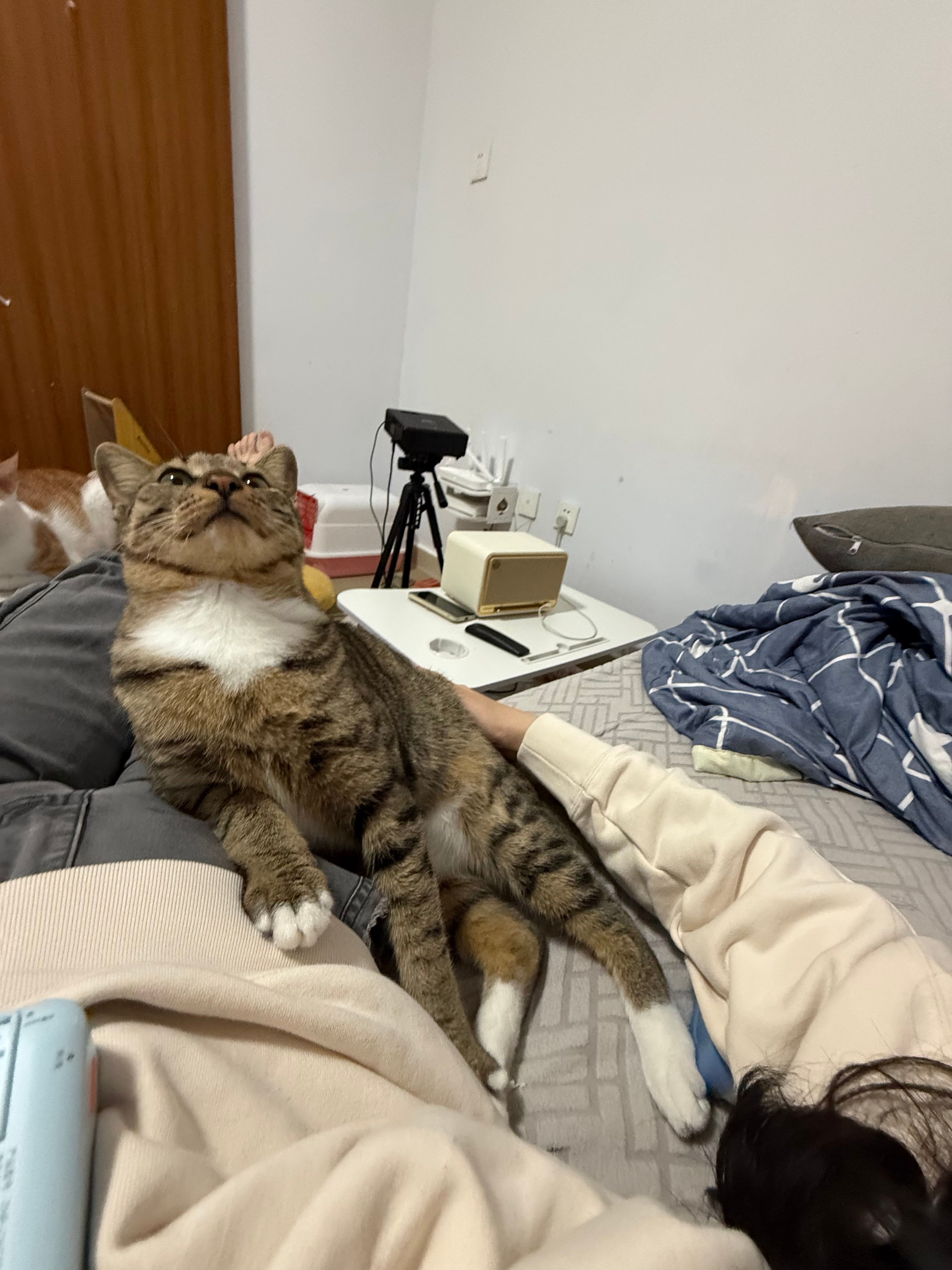 image-7