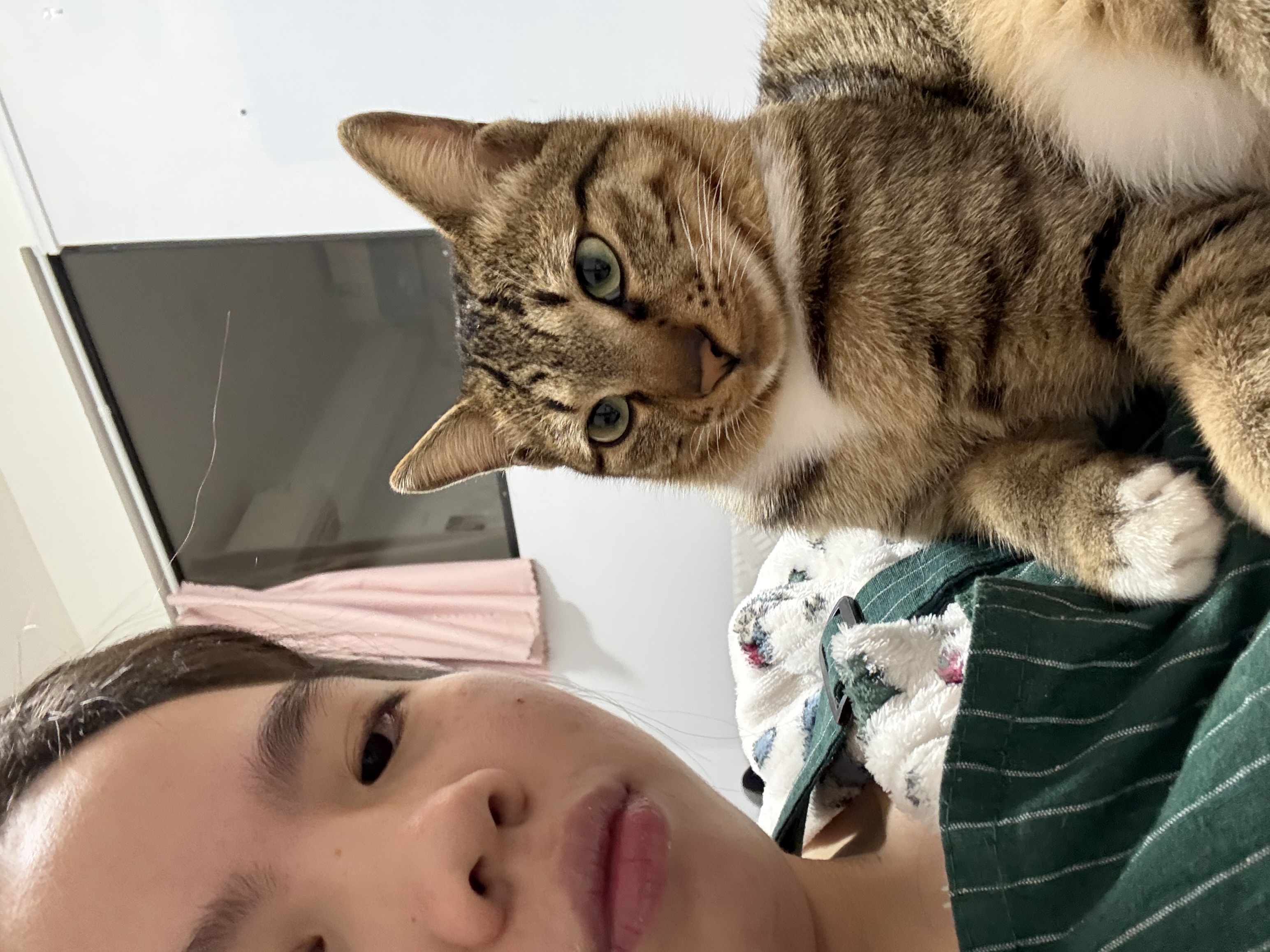 image-8