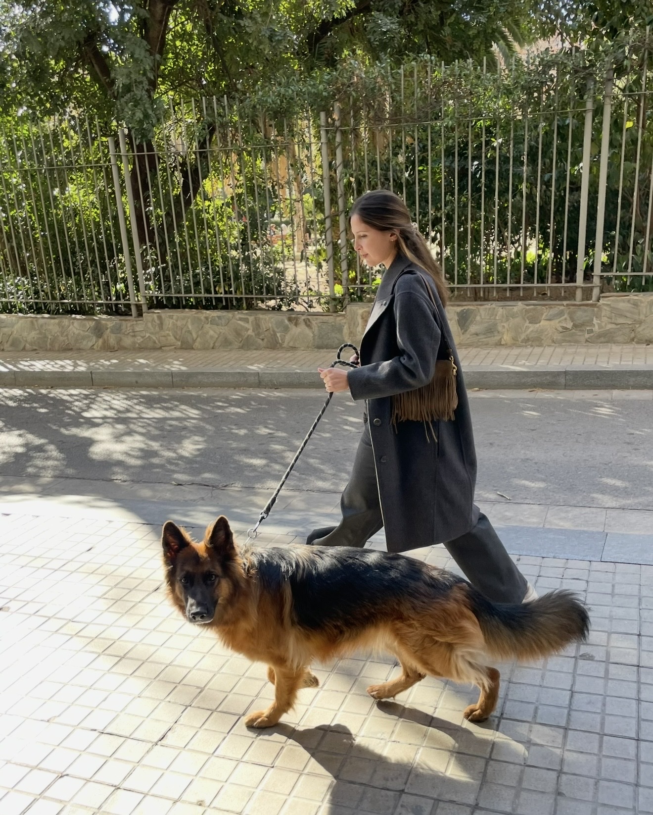 image-7