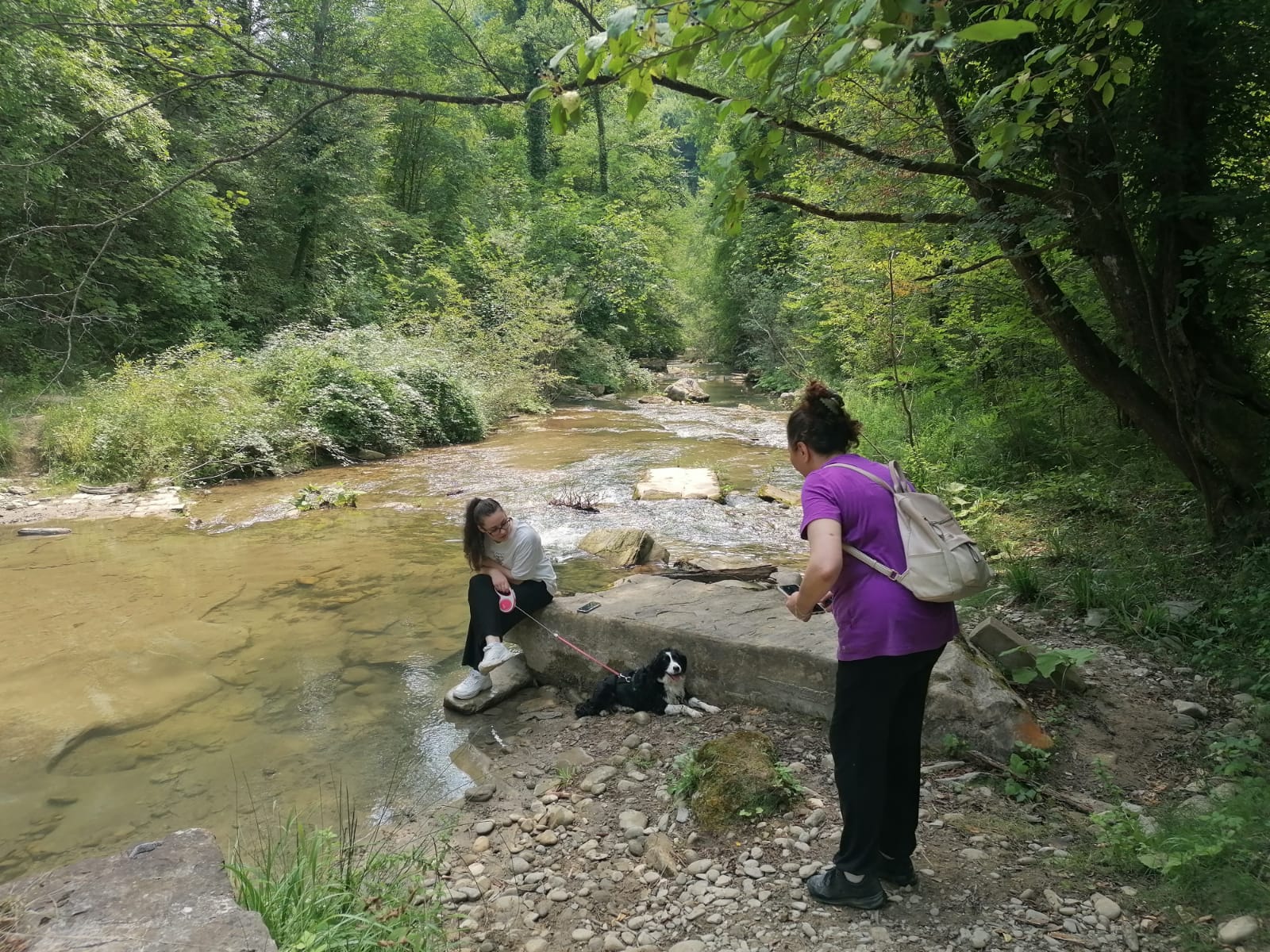 image-2