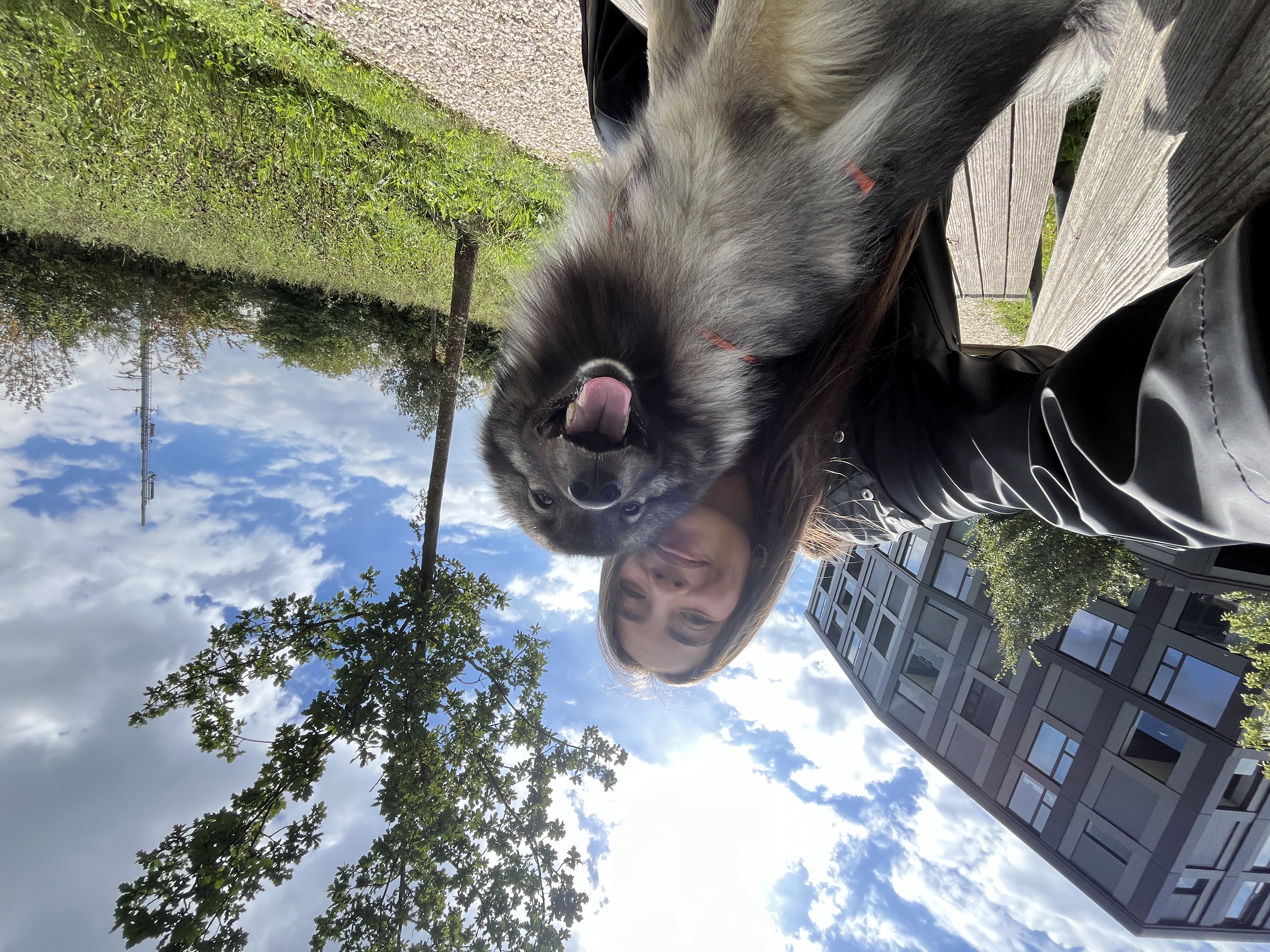 image-4