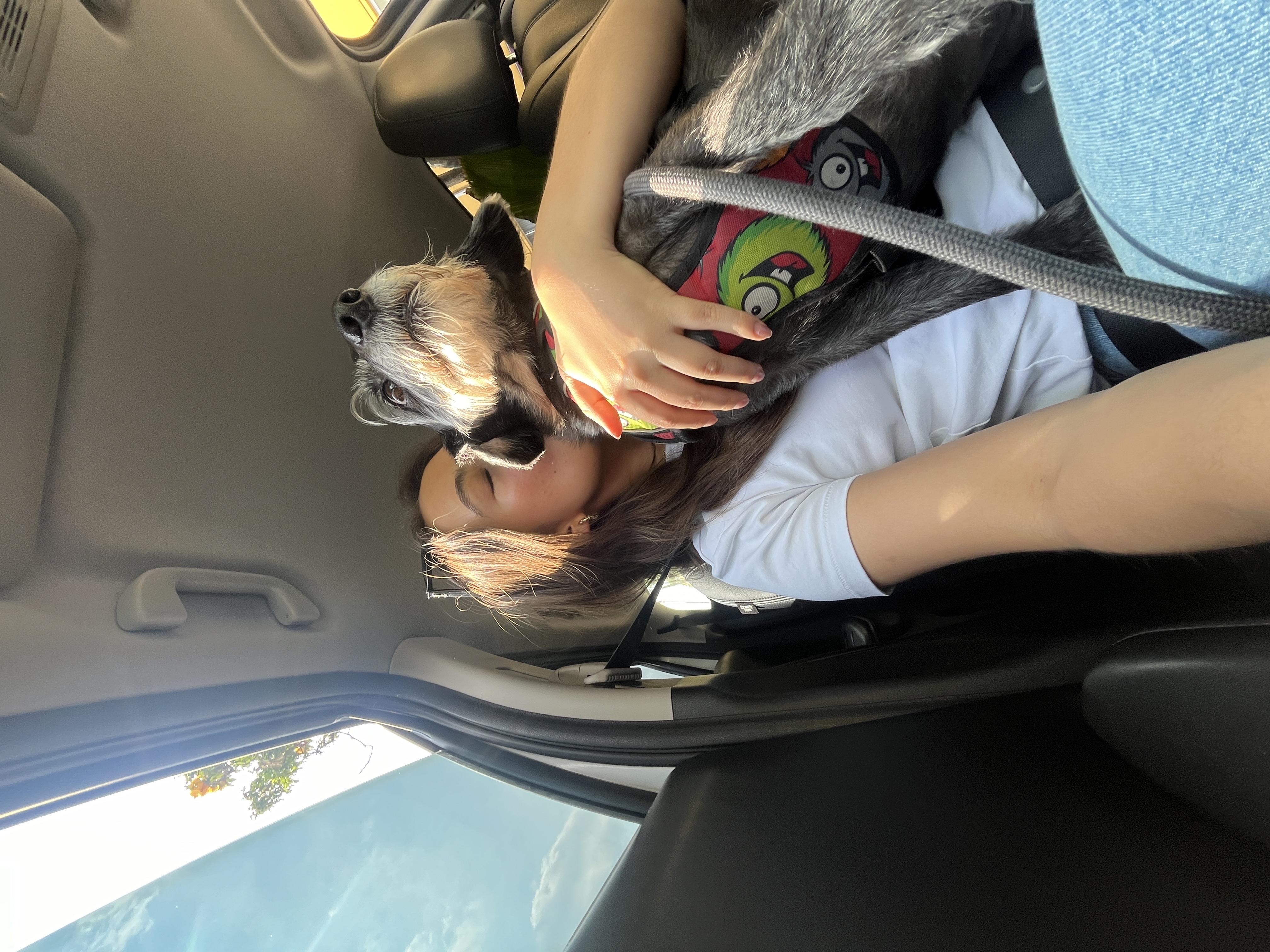 image-3