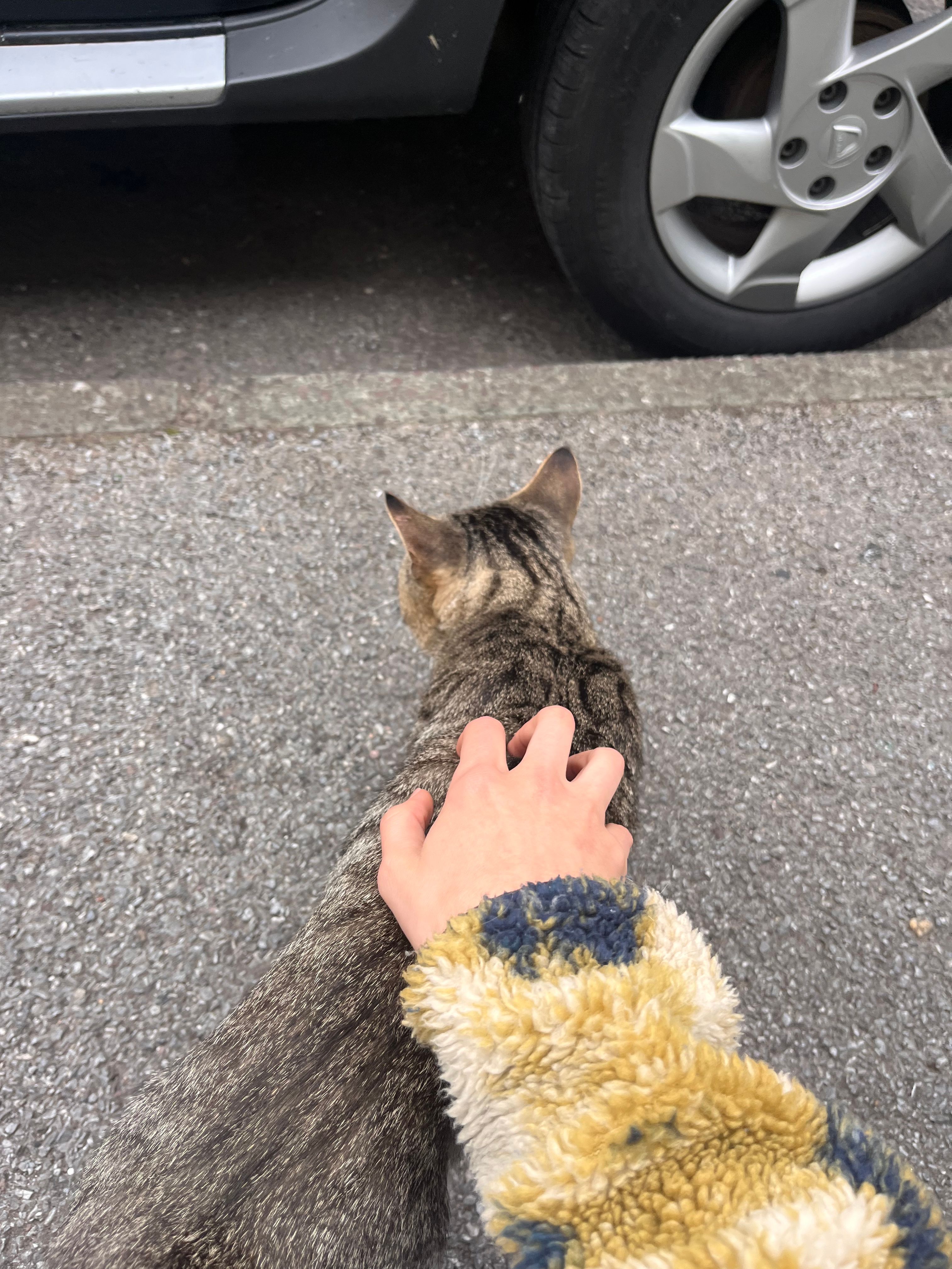image-6