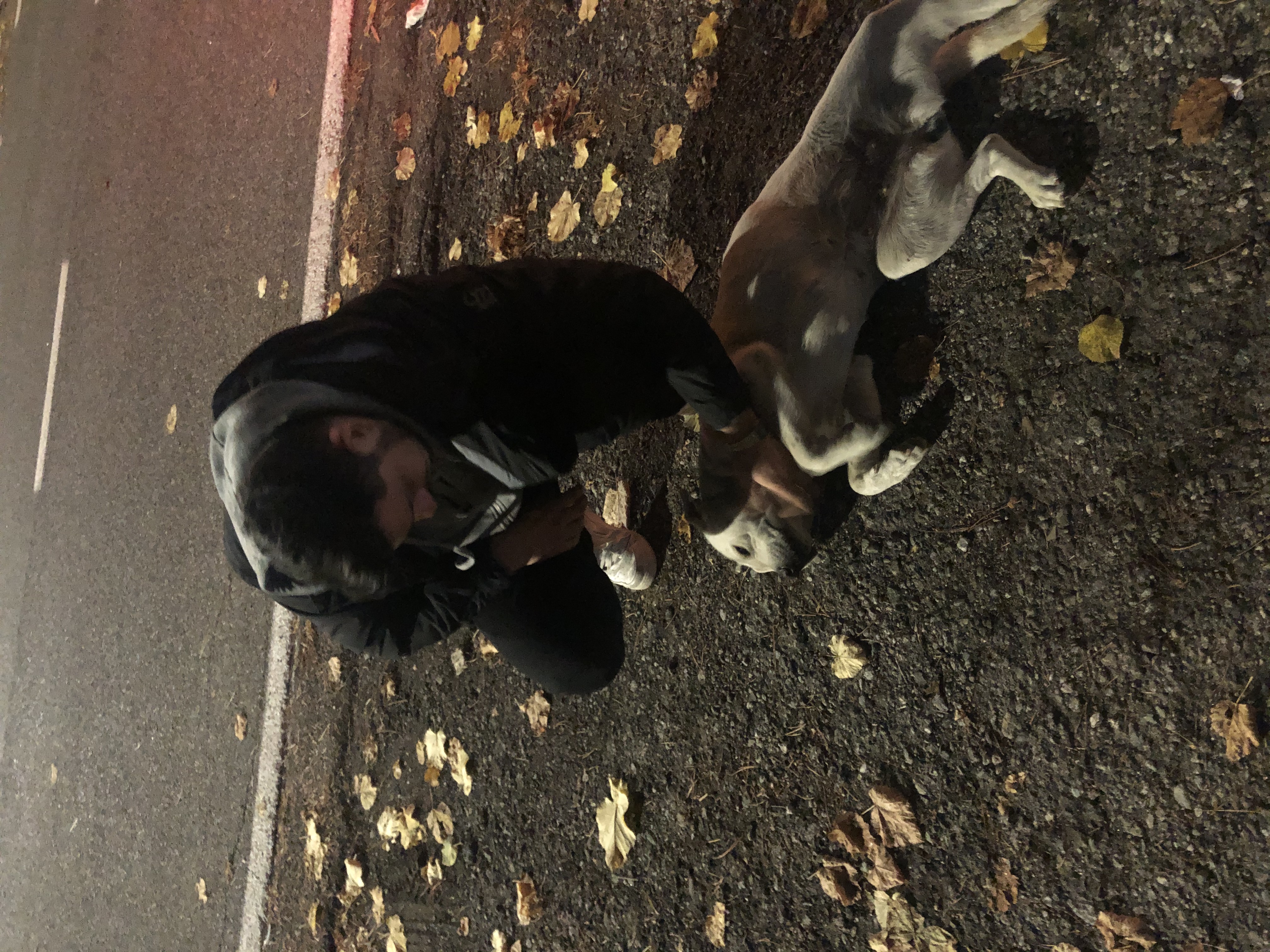image-8