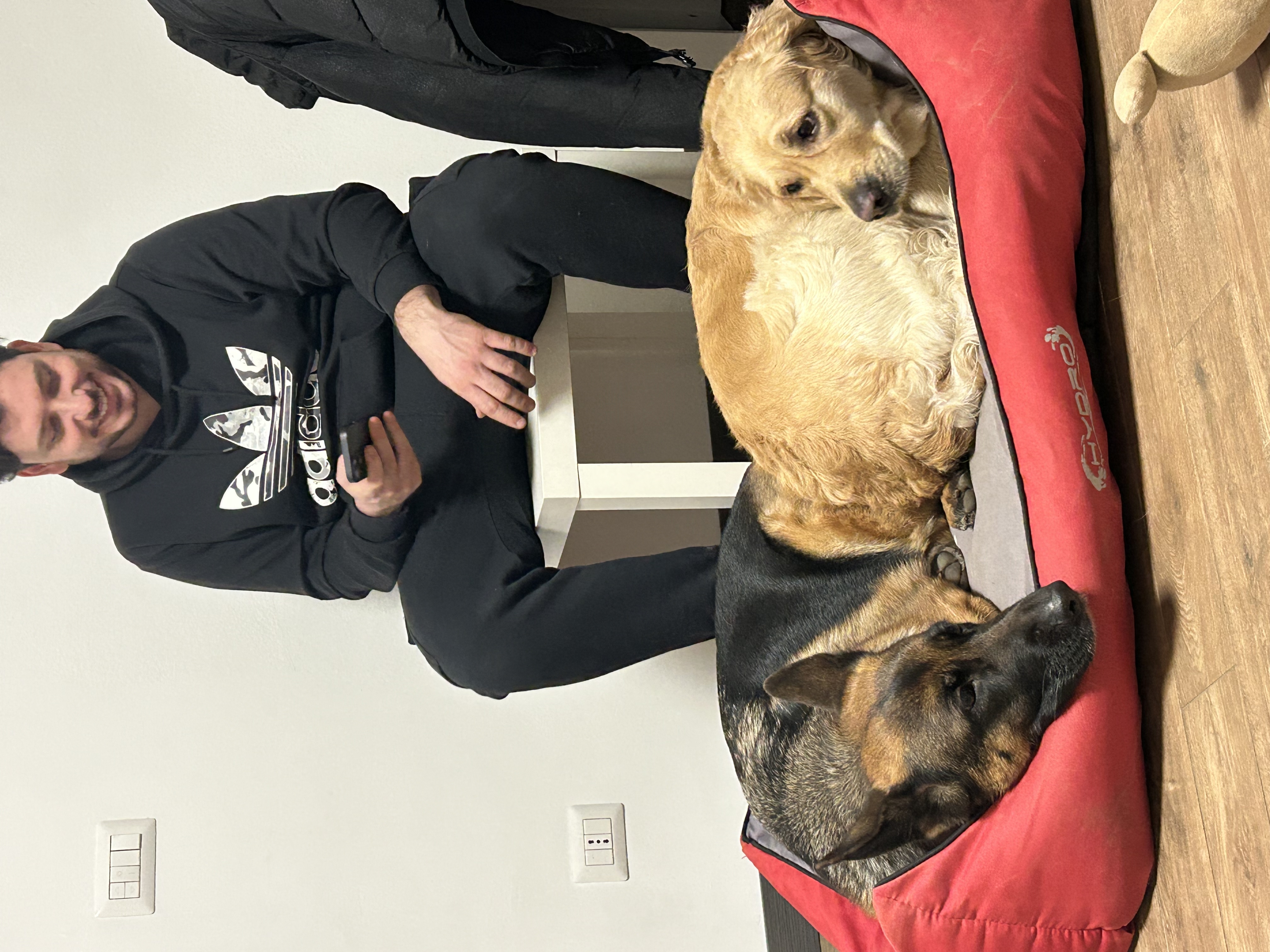 image-3