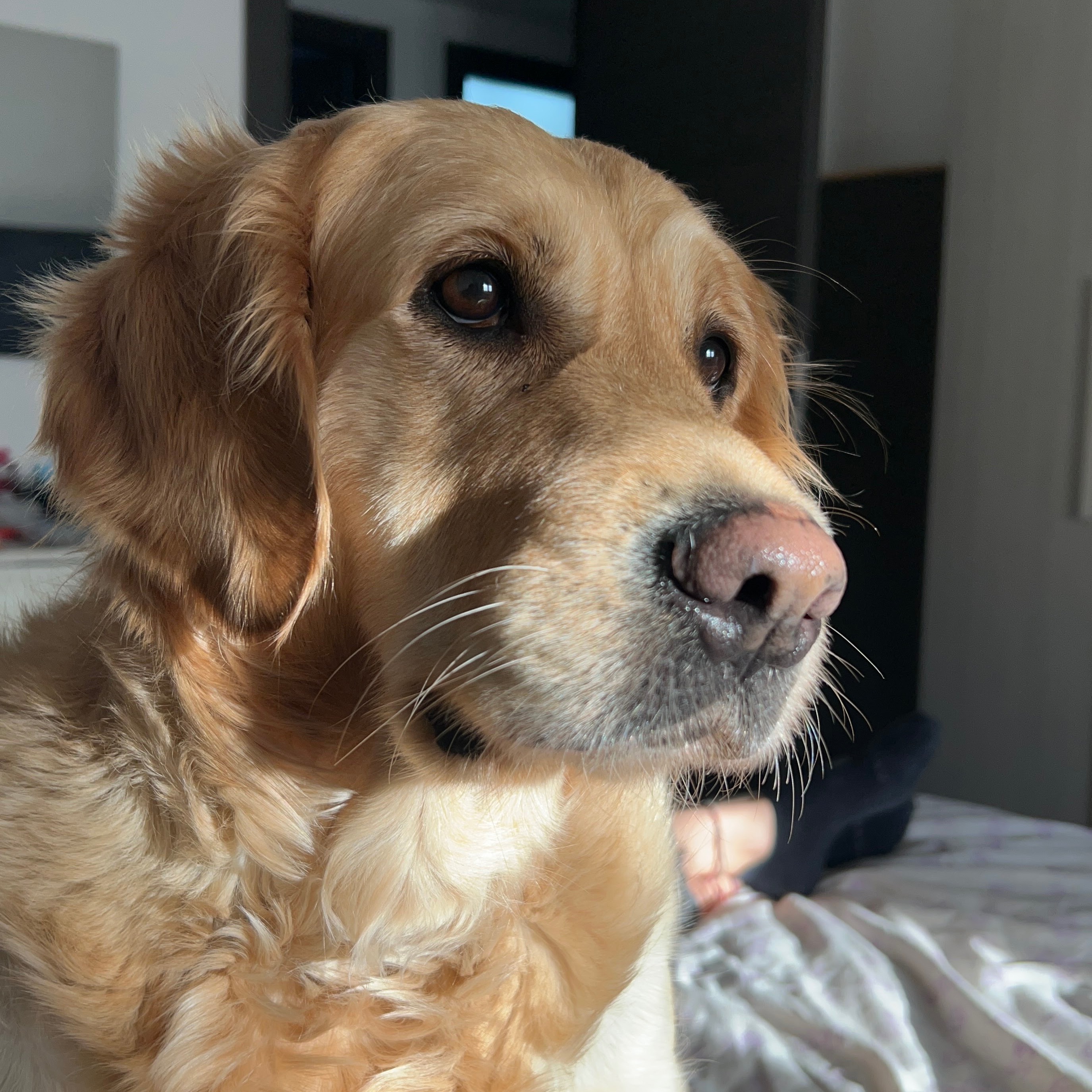 Chloe