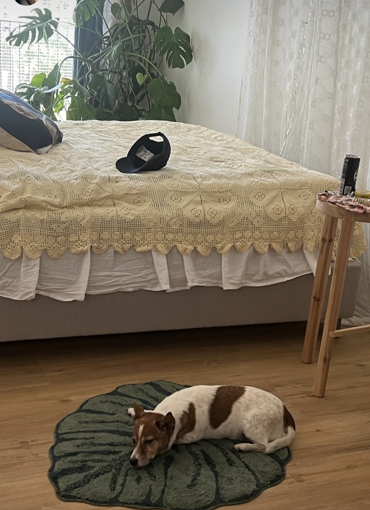image-10
