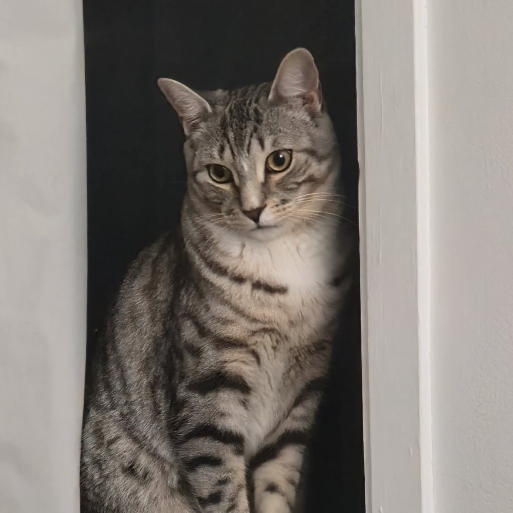 Titus